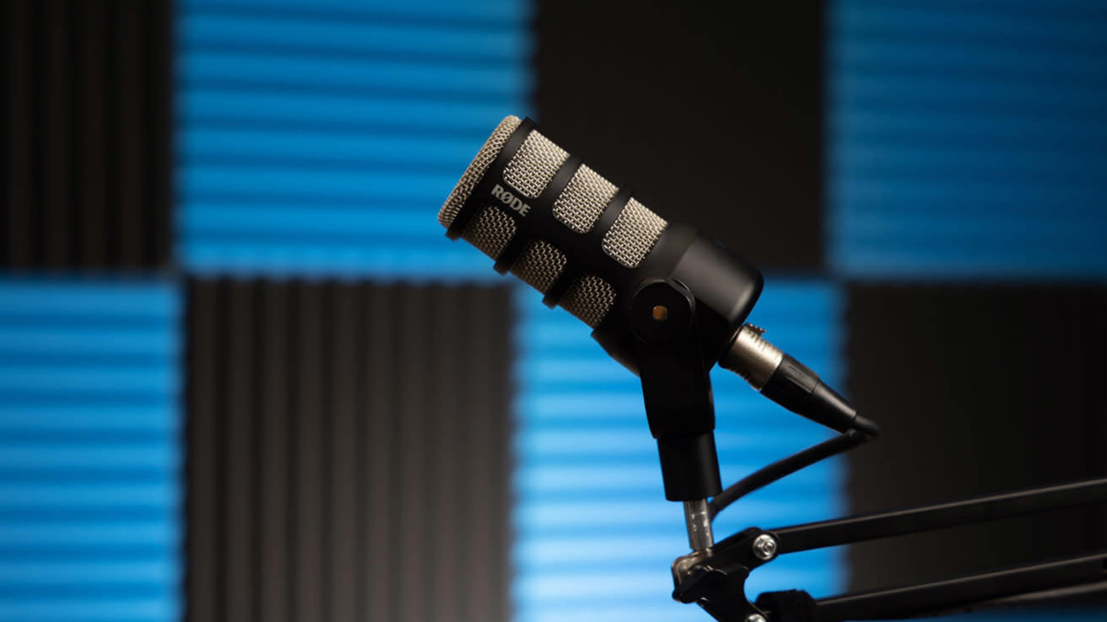 Cozy Podcast Studio in Tampa Image in Lutz, Lutz, FL