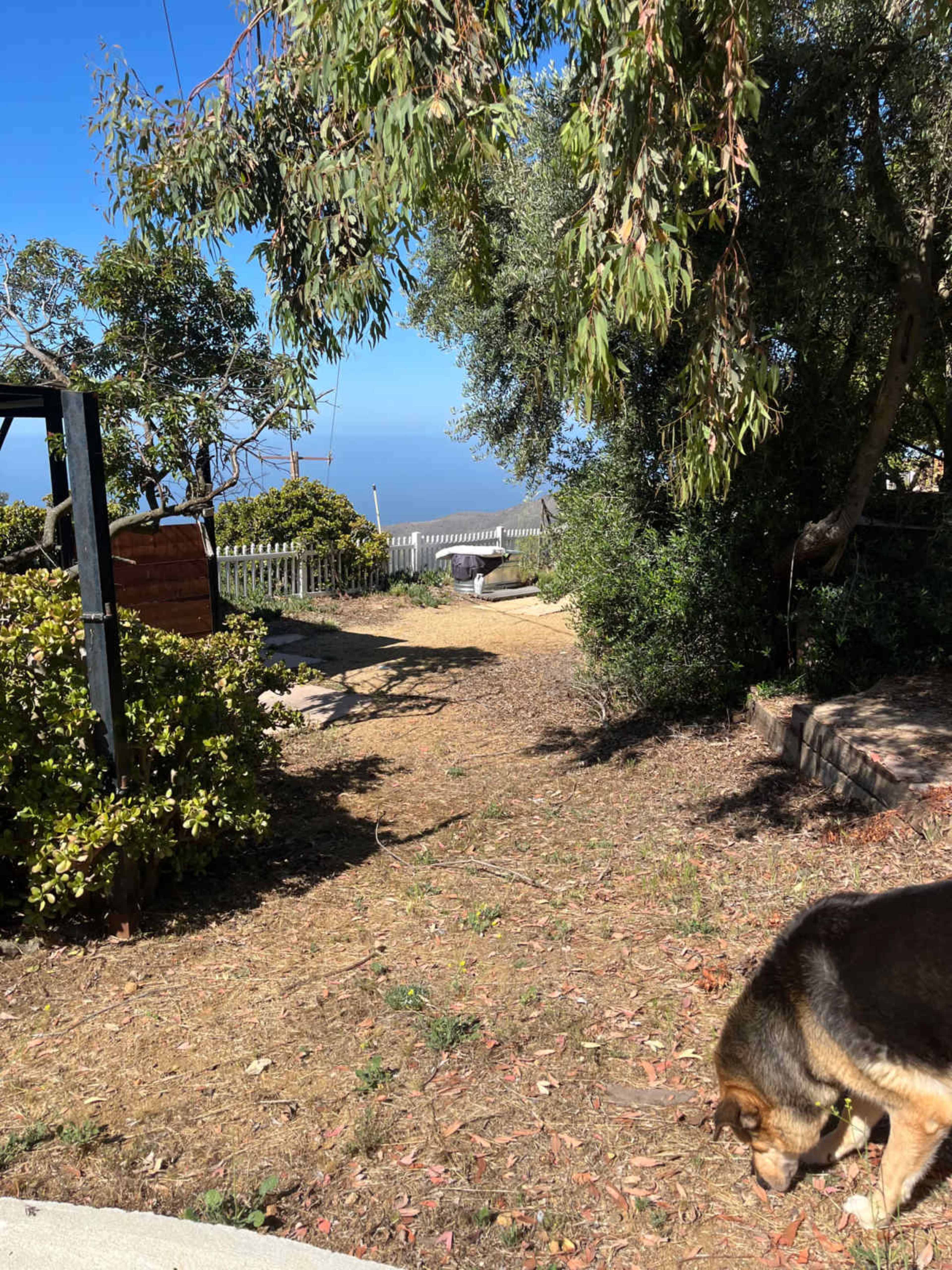 A pathway leads through a garden area bordered by trees, overlooking a body of water in the distance.
