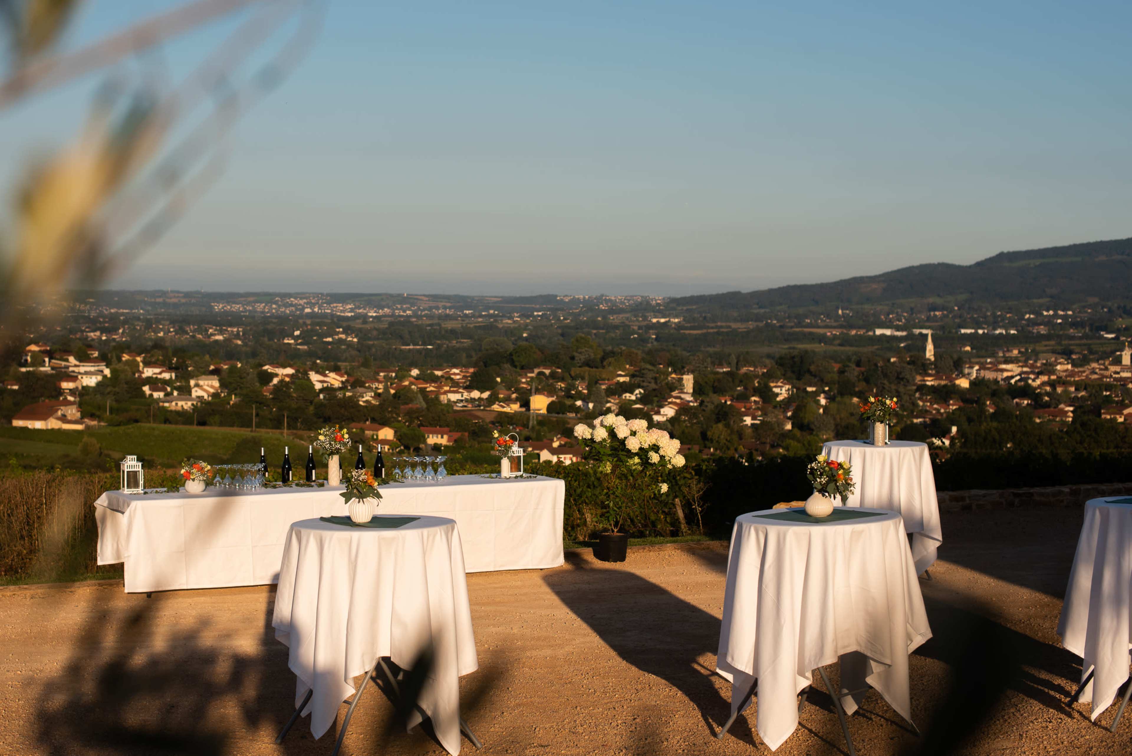 Domaine Méryt - Lieu d'exception Image in , Saint-Jean-des-Vignes
