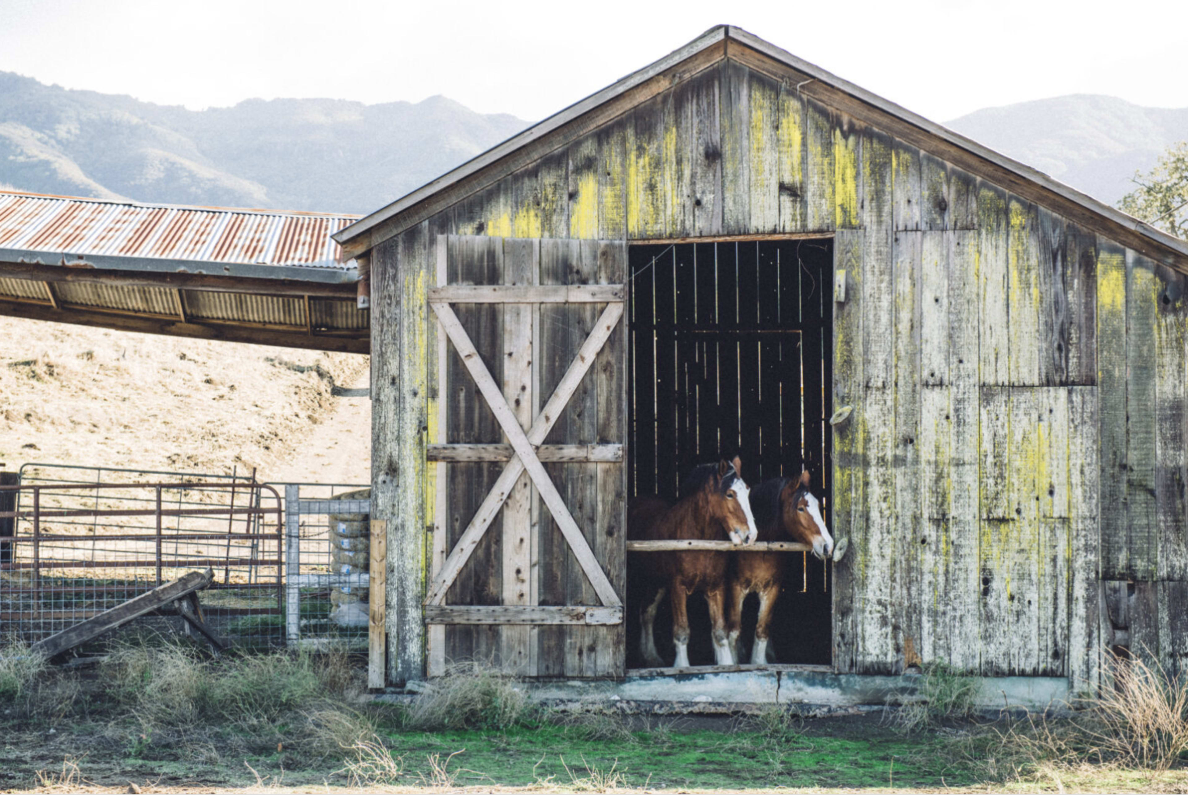 600 acre Ranch with classic 1900s style barns, houses, lake, vineyard, etc. Image in , Goleta, CA