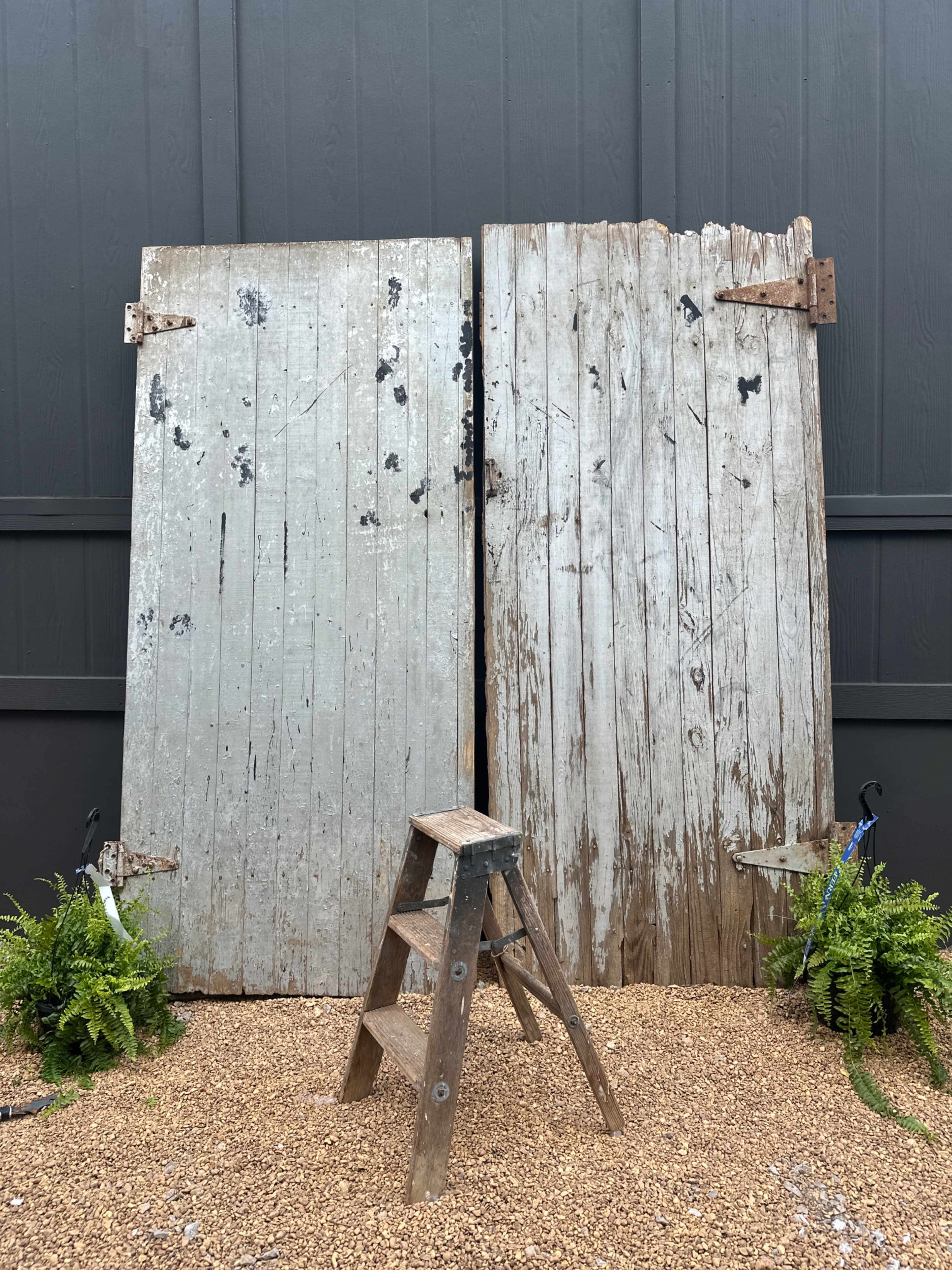 Two weathered wooden doors stand against a dark wall, with a small wooden ladder placed in front, surrounded by ferns on either side.