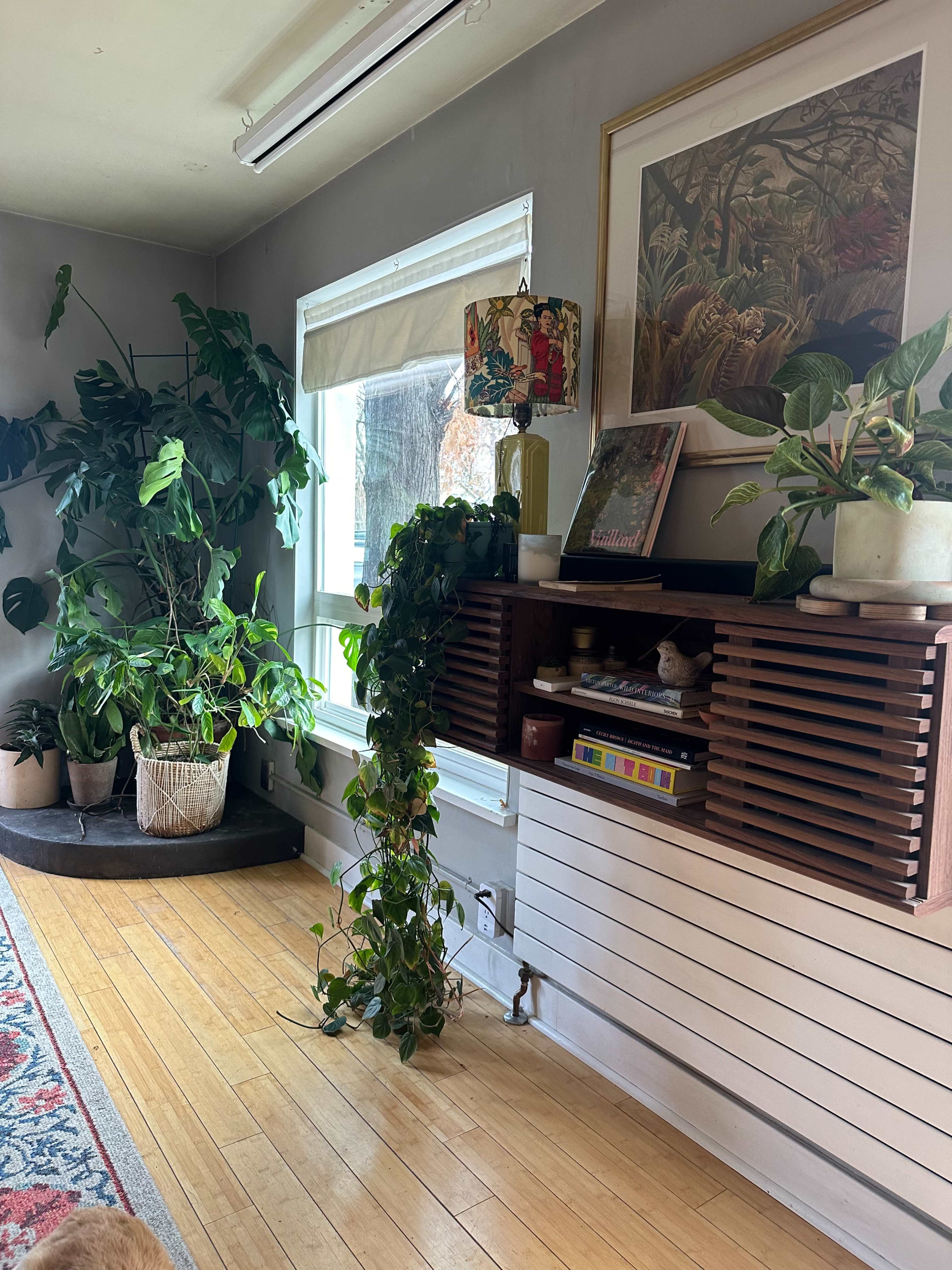 A spacious room features a wooden shelf with potted plants and a decorative lamp, while large windows allow natural light to illuminate the space.