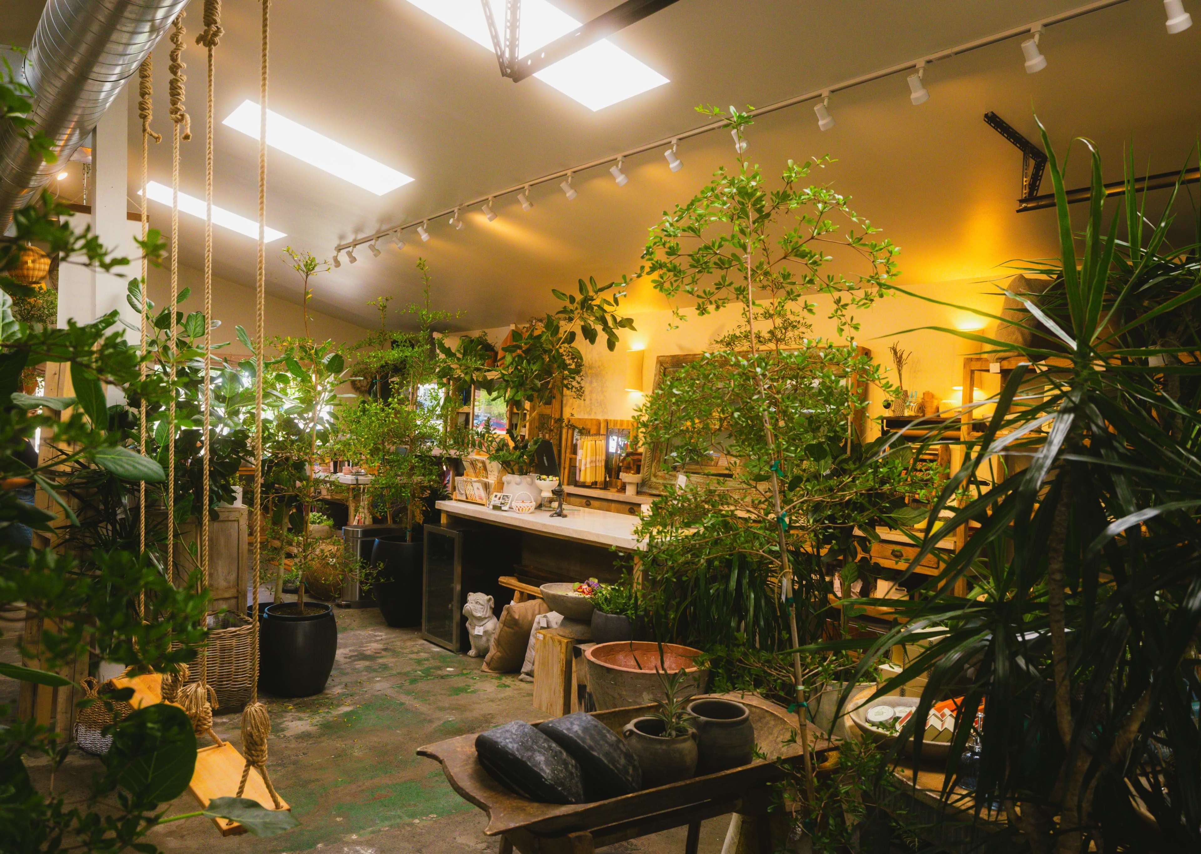 The image shows a well-lit indoor plant shop filled with various potted plants and gardening supplies arranged on tables and shelves.