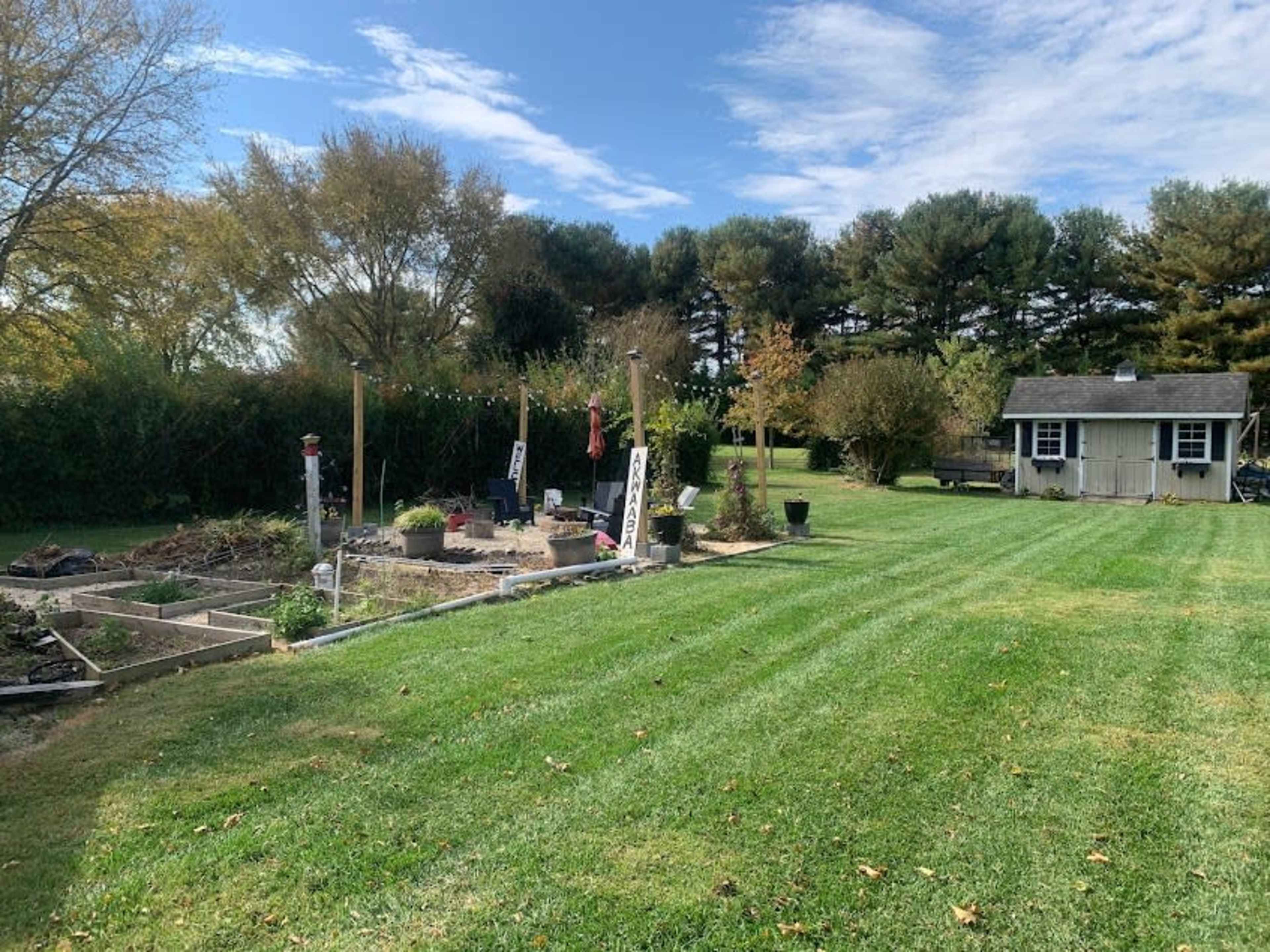 A well-maintained grassy area with garden plots and a small shed in the background.