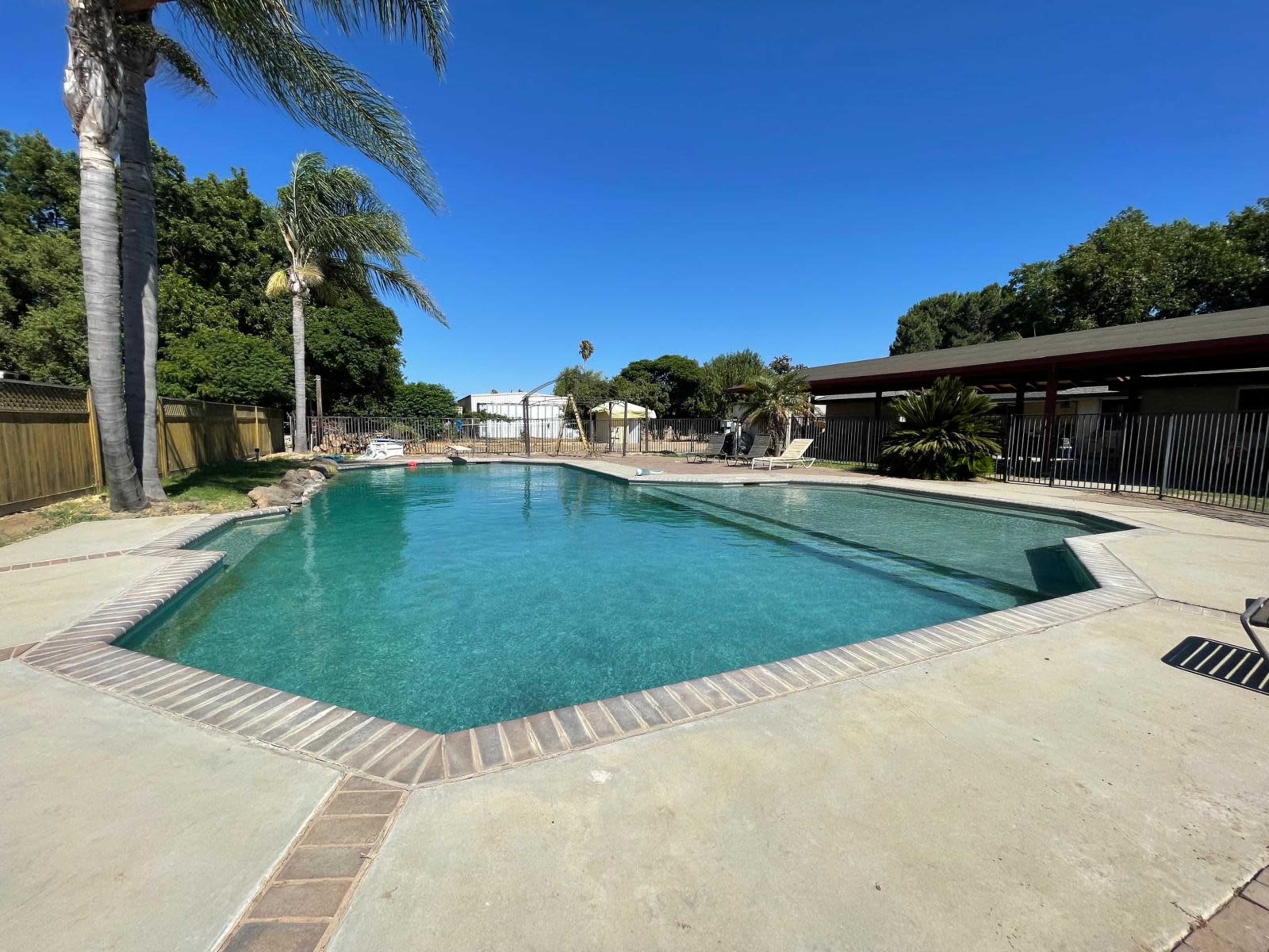 A rectangular swimming pool is surrounded by a concrete deck, featuring palm trees and a fenced area with a patio in the background.