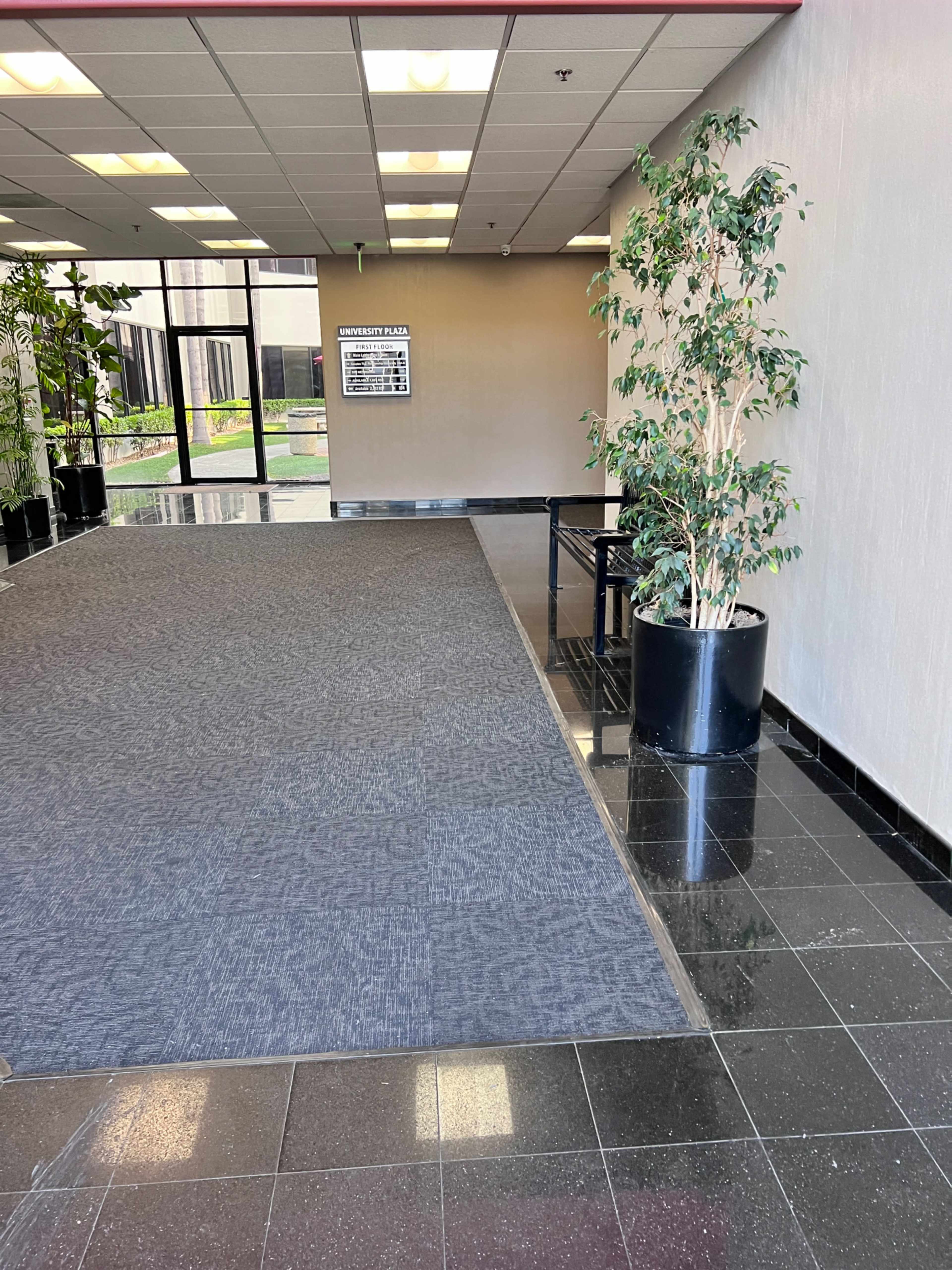 An indoor area with a patterned gray carpet and a potted plant next to the door, leading to an outdoor view through large glass windows.
