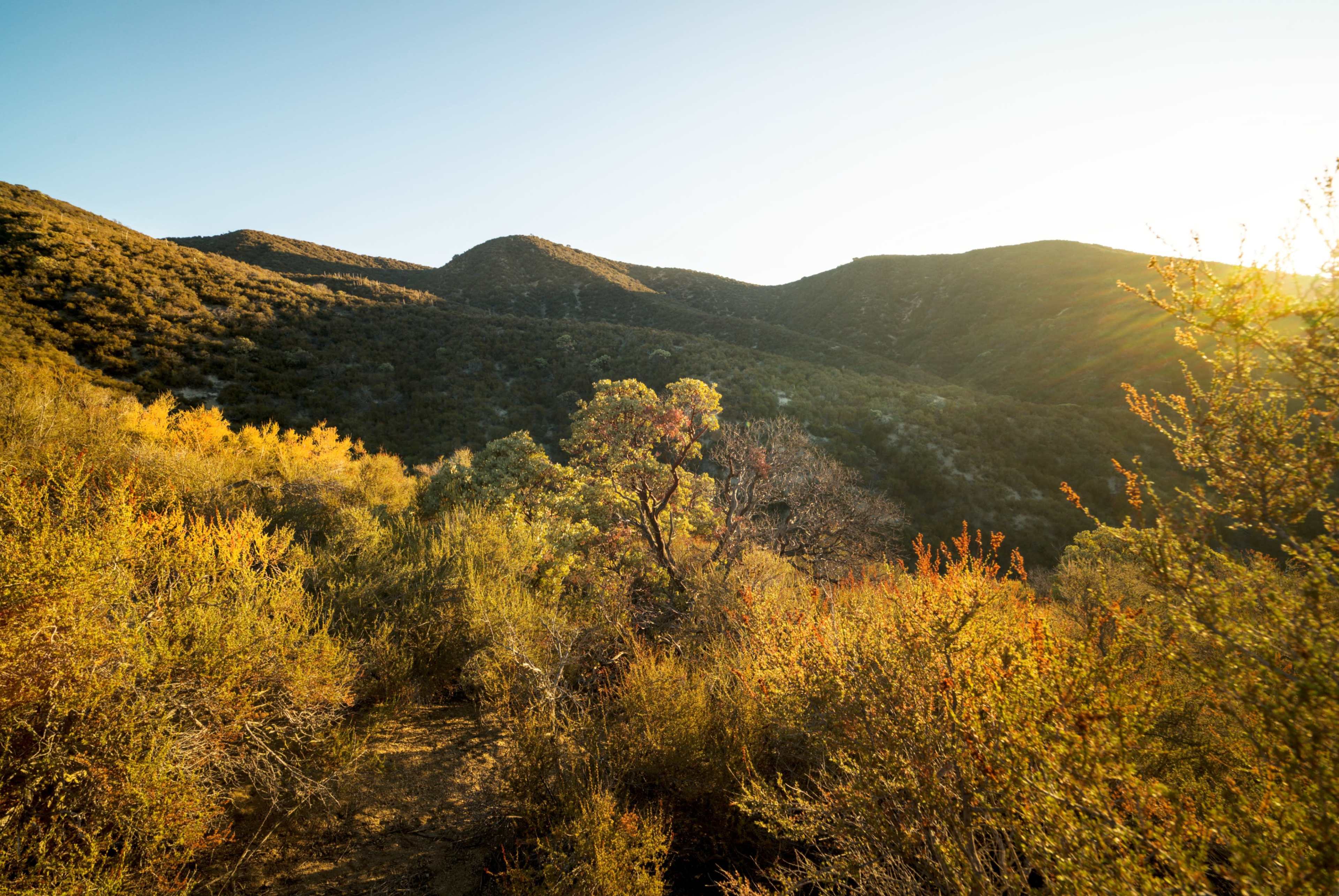 Exterior-Only Multi-Set Ranch — Natural Terrain, Dirt Roads & Working Exteriors Image in Leona Valley, Leona Valley, CA