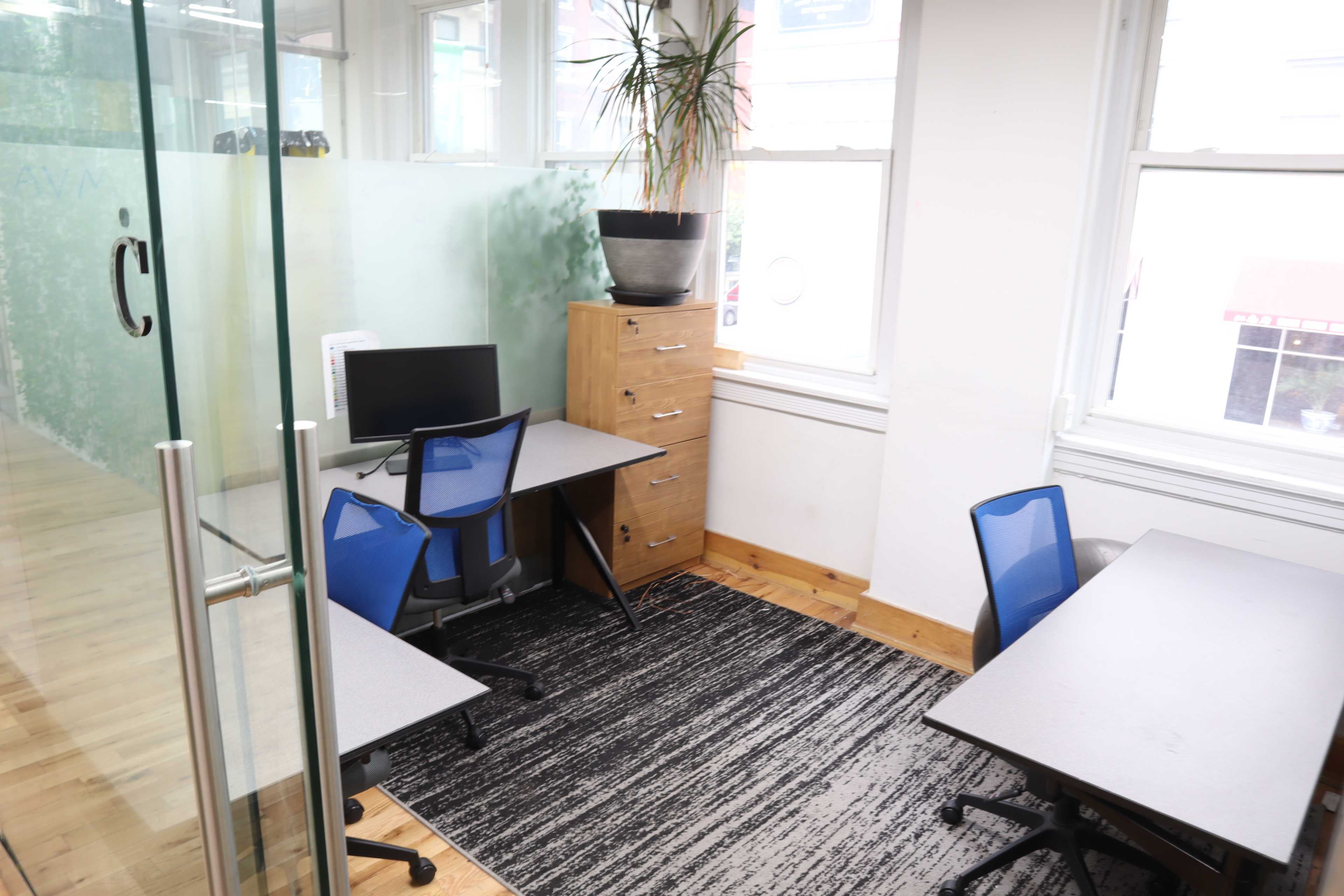 Two desks with blue chairs are arranged in a bright office space, featuring a computer, a tall plant, and large windows.