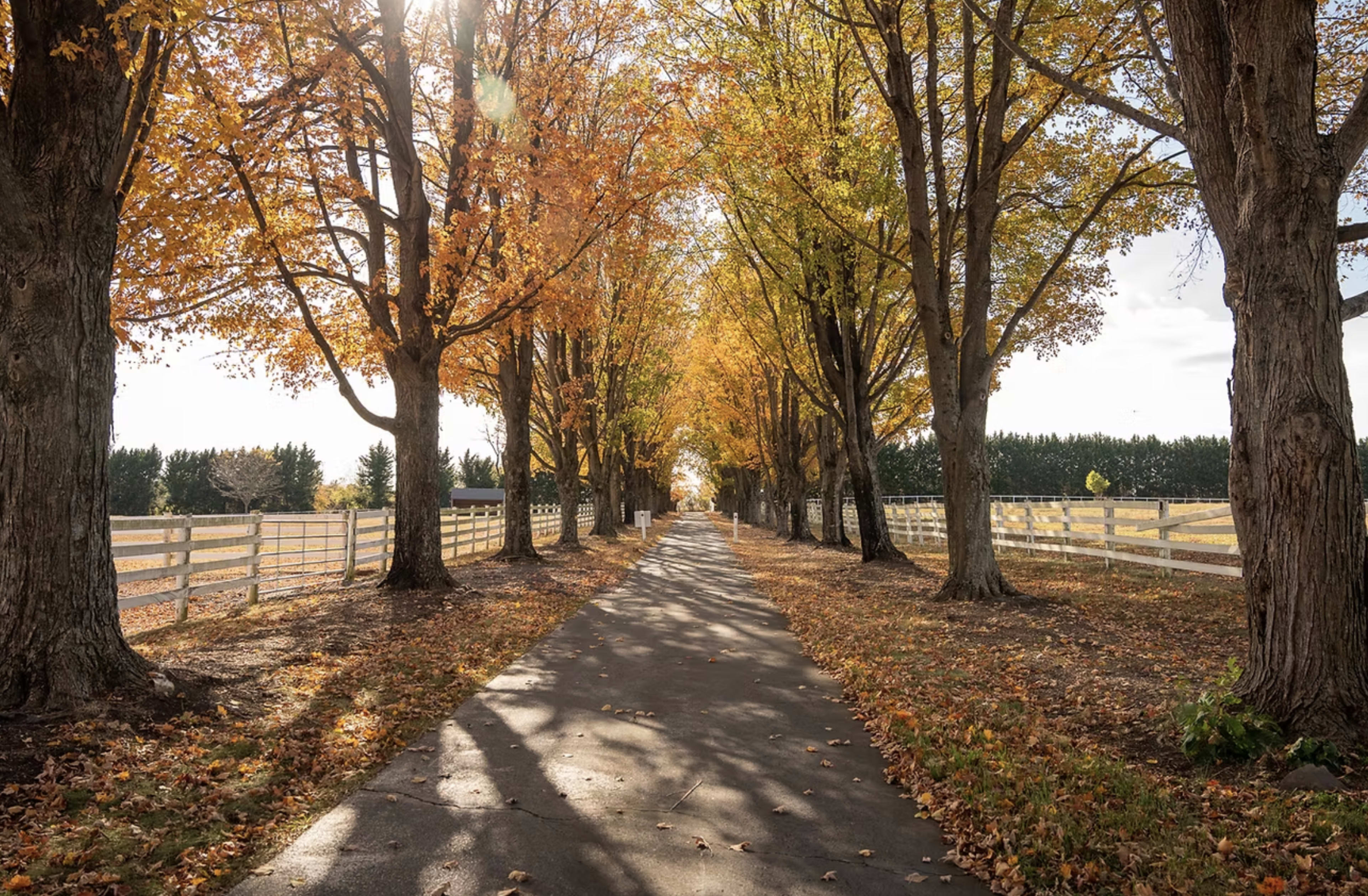 A paved path lined with trees displaying autumn foliage leads through a rural landscape, flanked by a white fence.