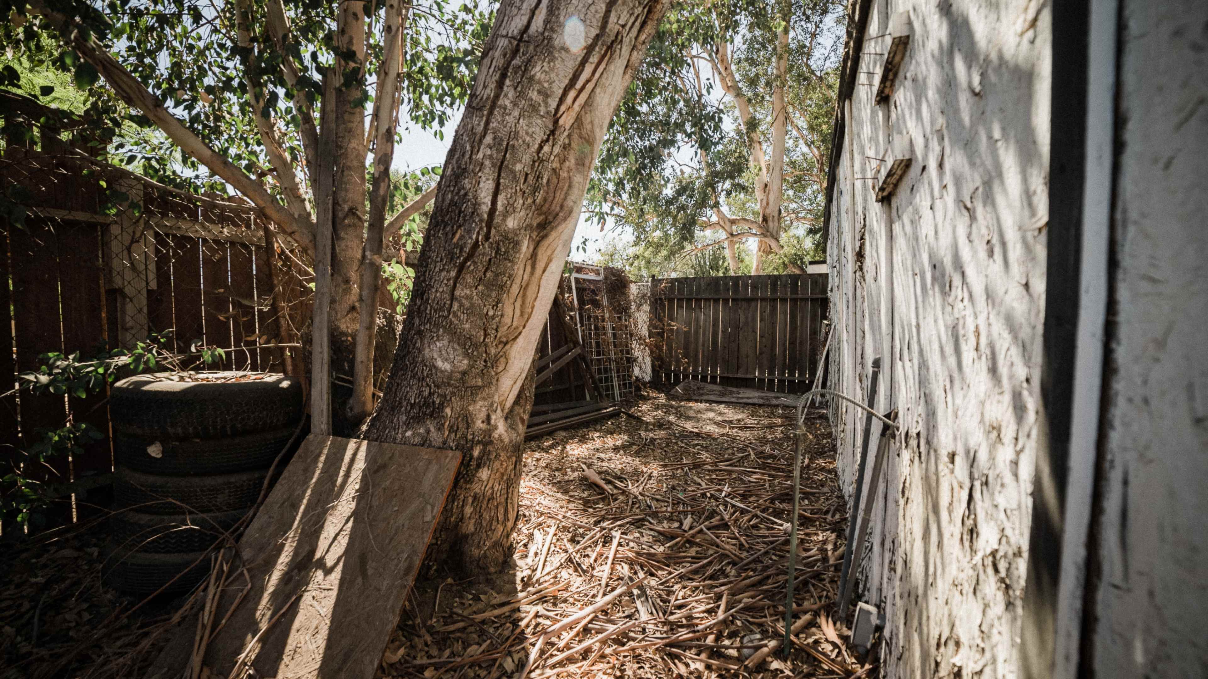 A narrow backyard area with a leaning tree, grass-covered ground, discarded tires, and an adjacent wooden fence.