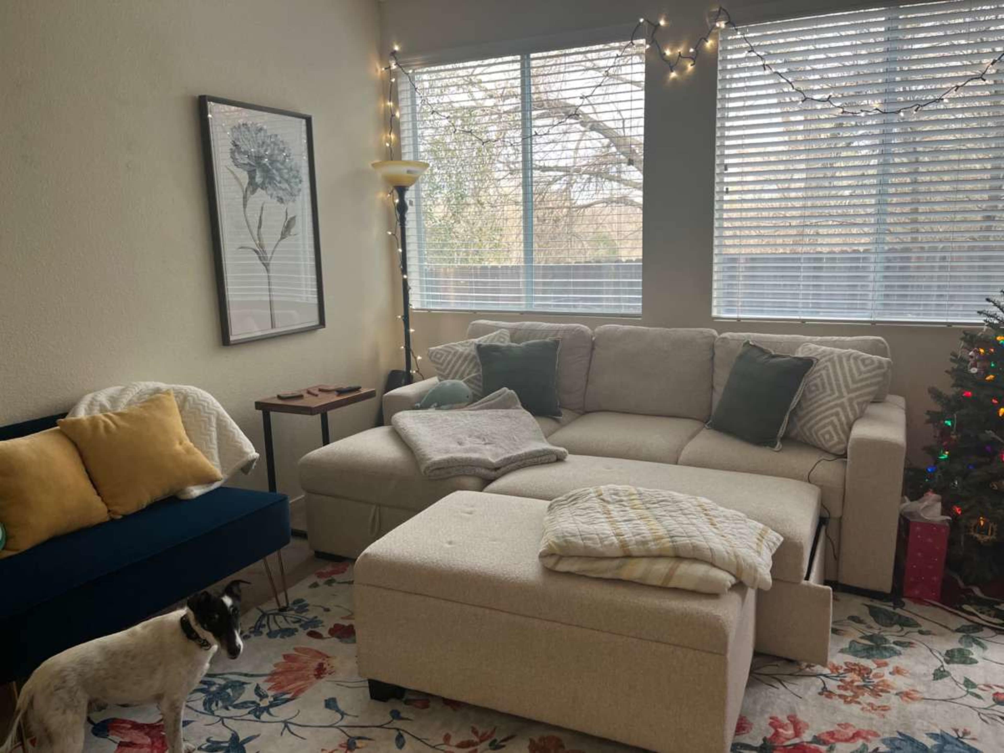 Quiet suburban sanctuary close to lightrail Image in Oak Villas, Folsom, CA