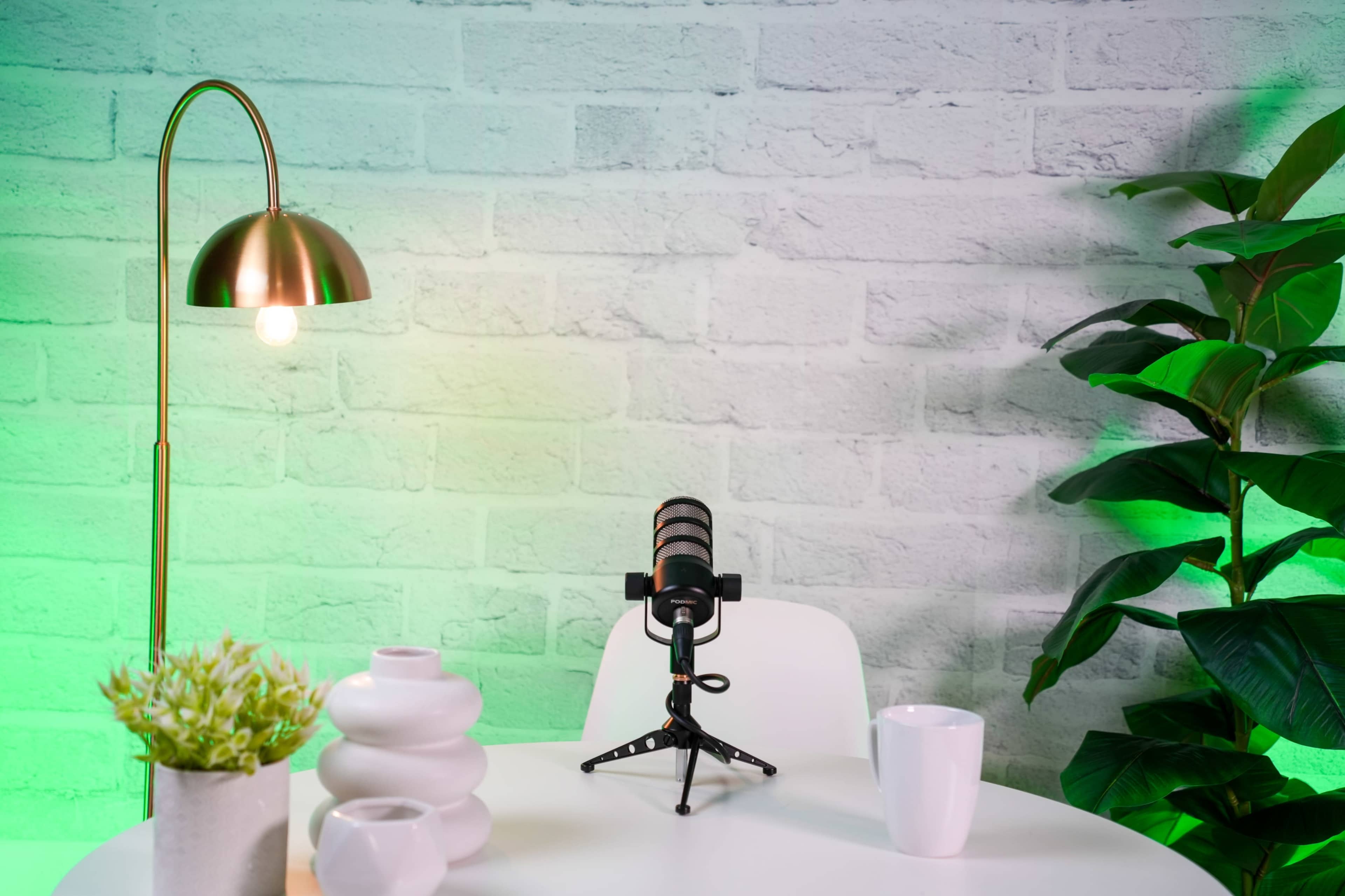 A microphone is positioned on a small table beside a lamp, a potted plant, and decorative vases against a textured white brick wall.