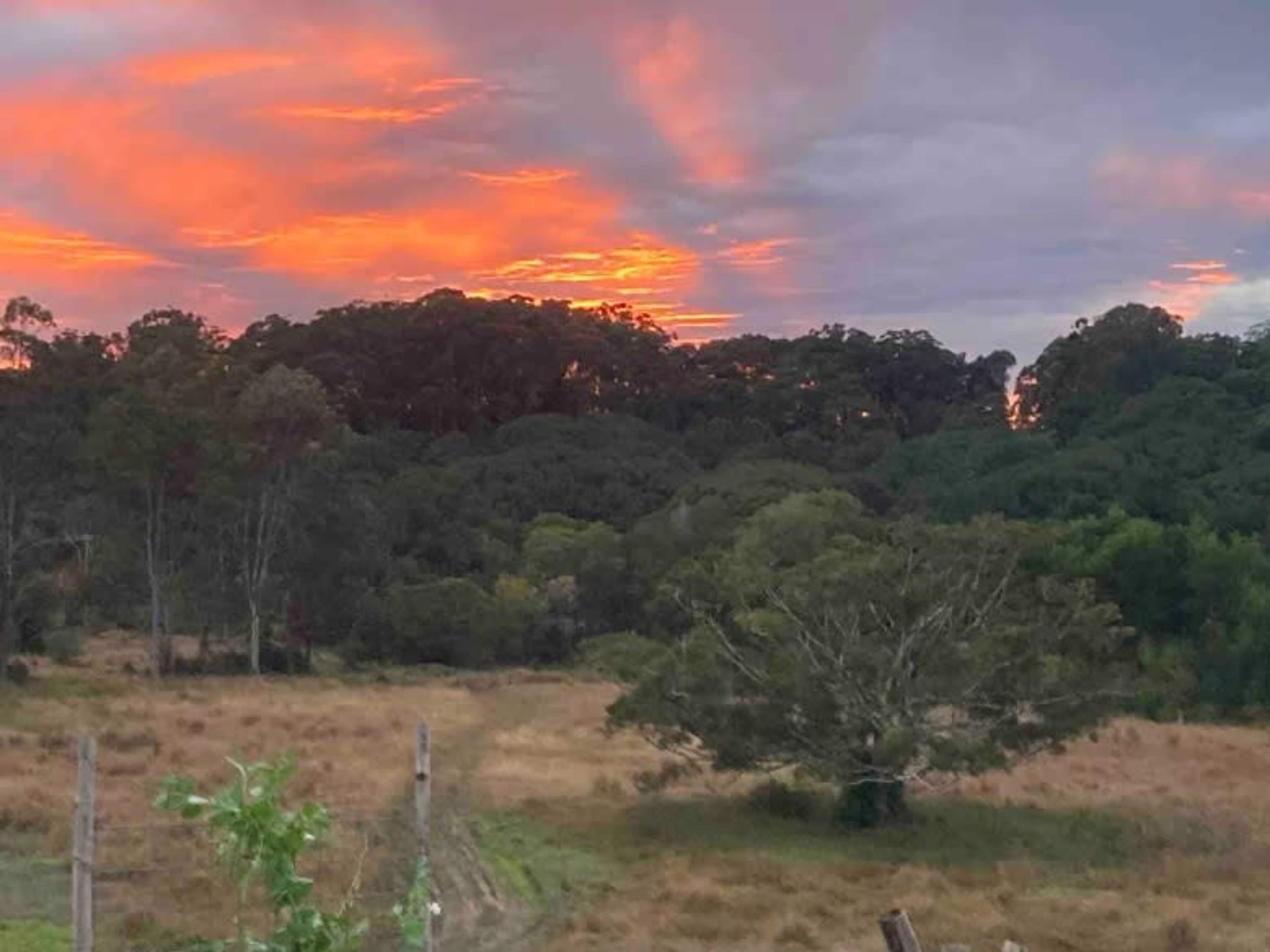 The scene shows a rural landscape with a field, trees, and a vibrant sunset in the background.