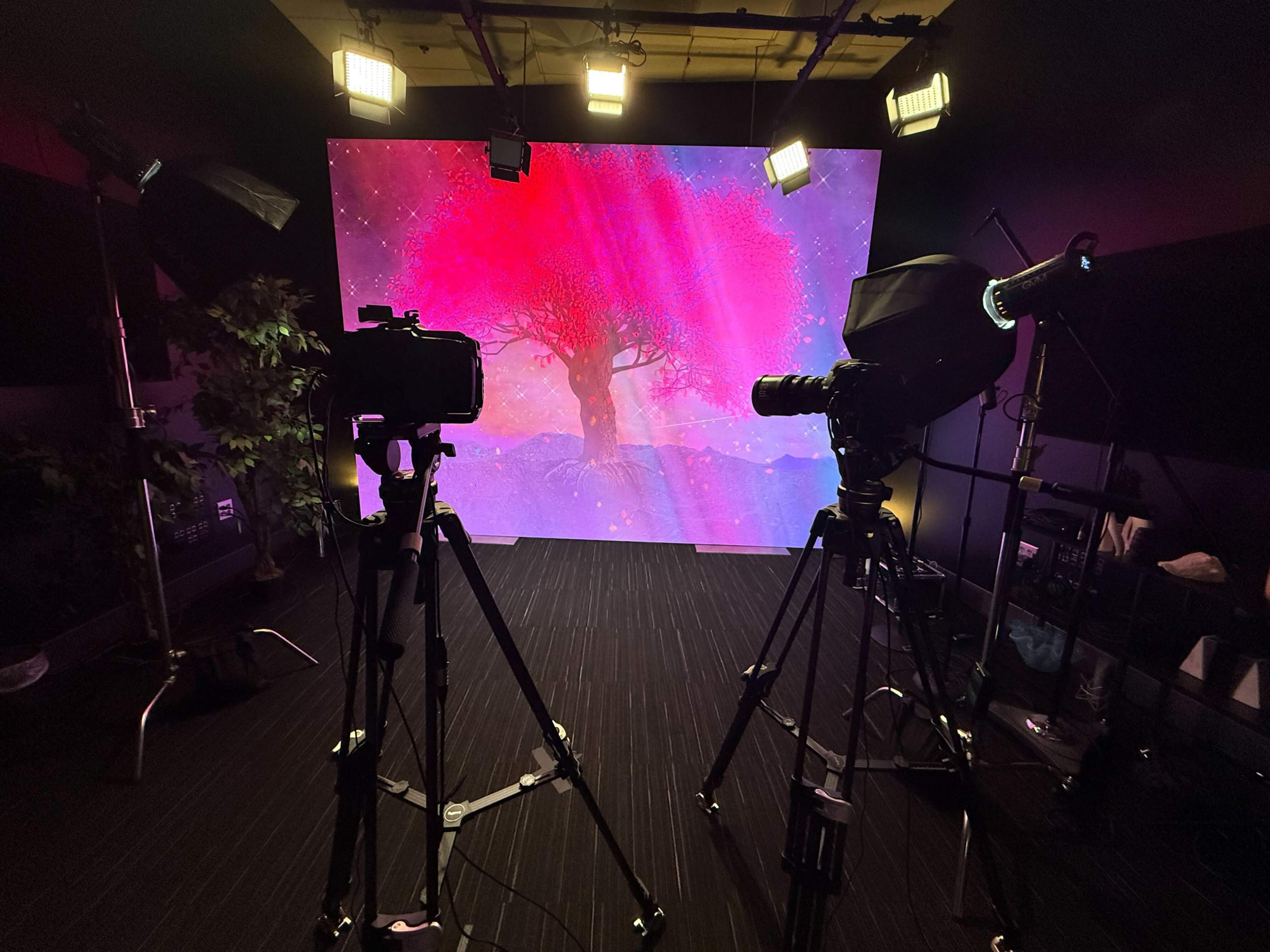 The image shows a studio setup with two cameras facing a colorful backdrop featuring a large tree against a vibrant, abstract background.