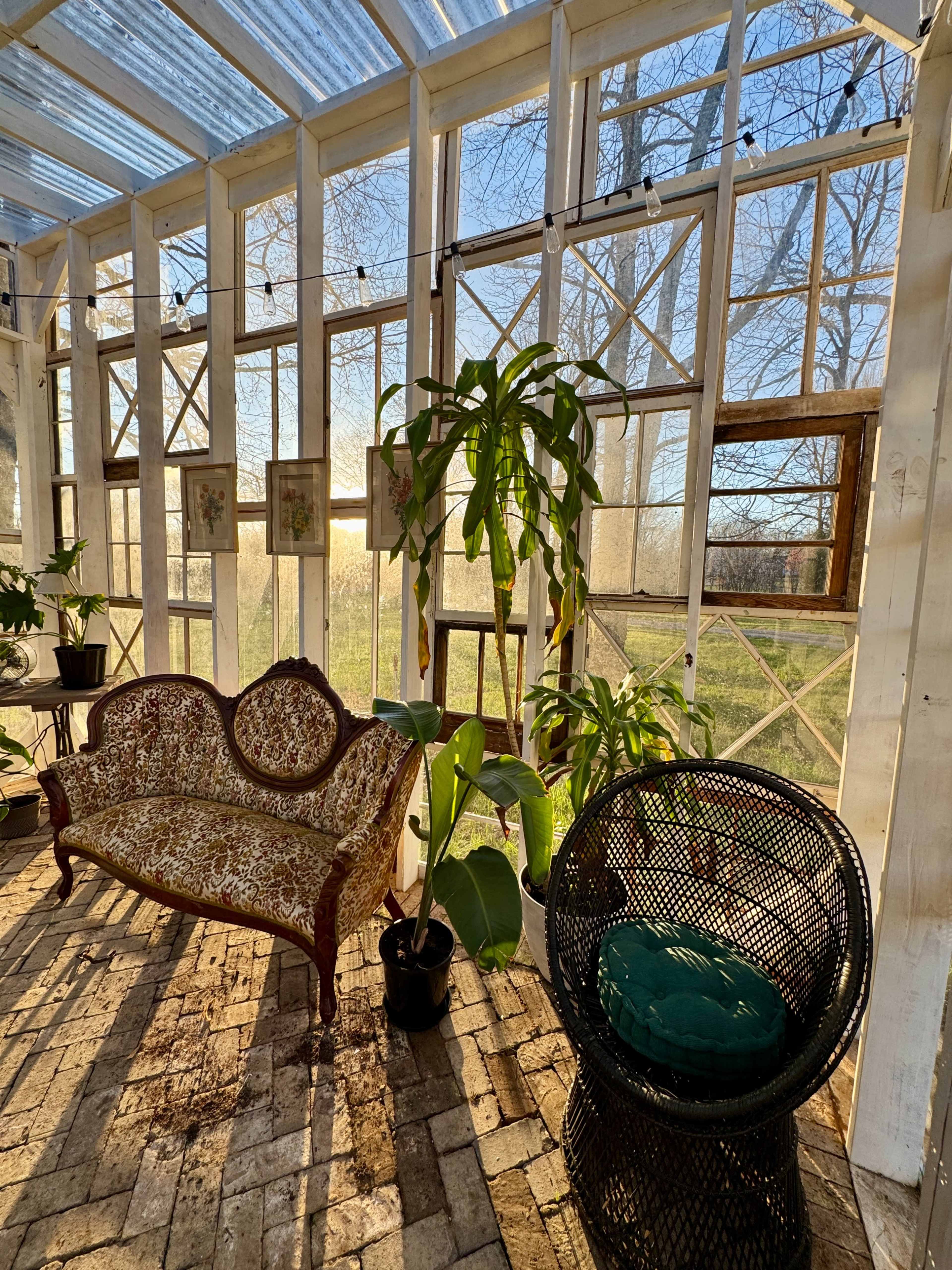 Coopertown Greenhouse Image in Coopertown, Springfield, TN