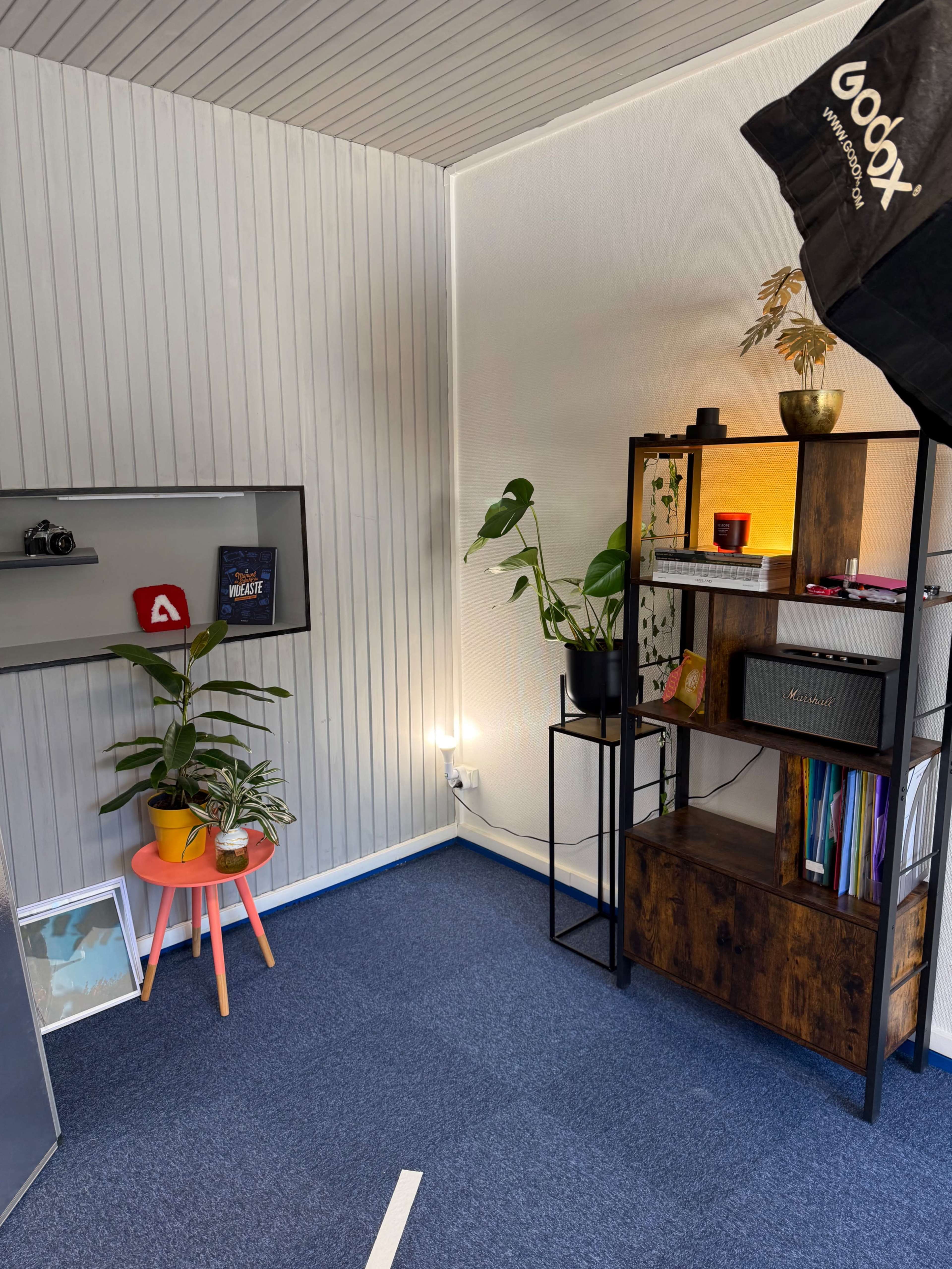 The image shows a small, neatly arranged workspace featuring a plant in a colorful pot, a shelf with books and a lamp, and a wall-mounted display with a camera and various framed items.