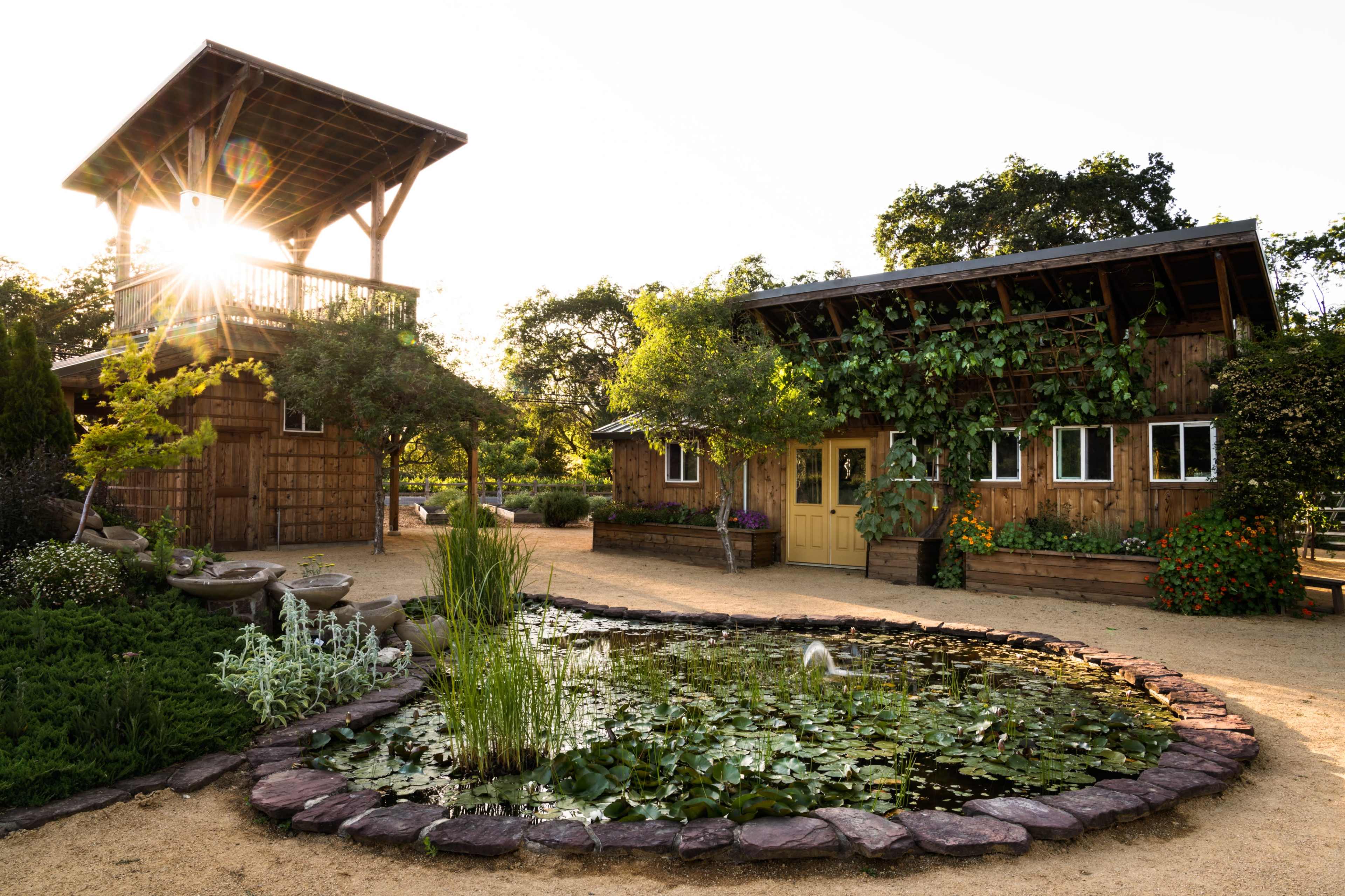 Organic Vineyard Estate in West Dry Creek Valley Image in , Healdsburg, CA