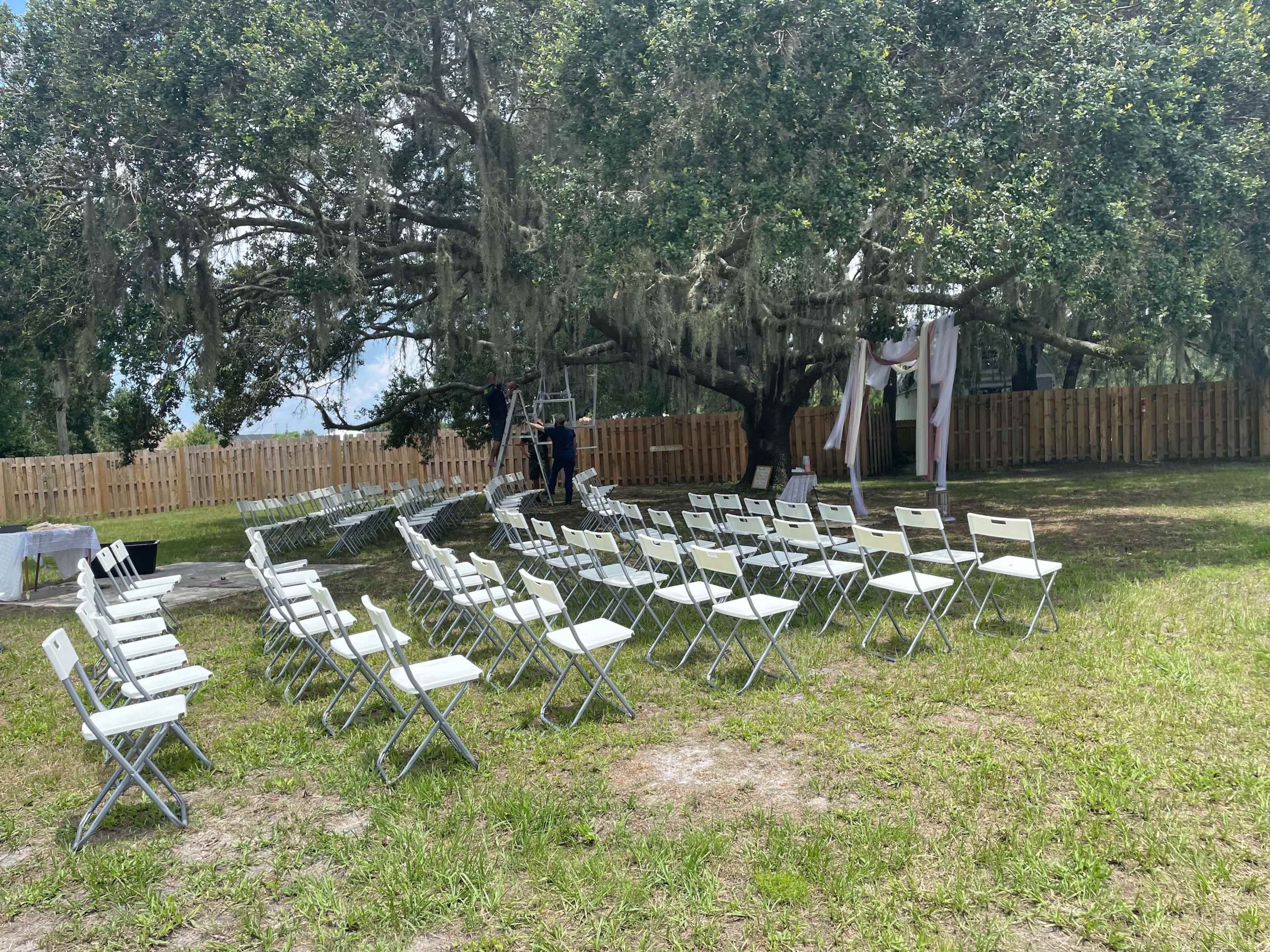 A set of white chairs is arranged in rows under an oak tree, with a decorative arch and a fenced area in the background.