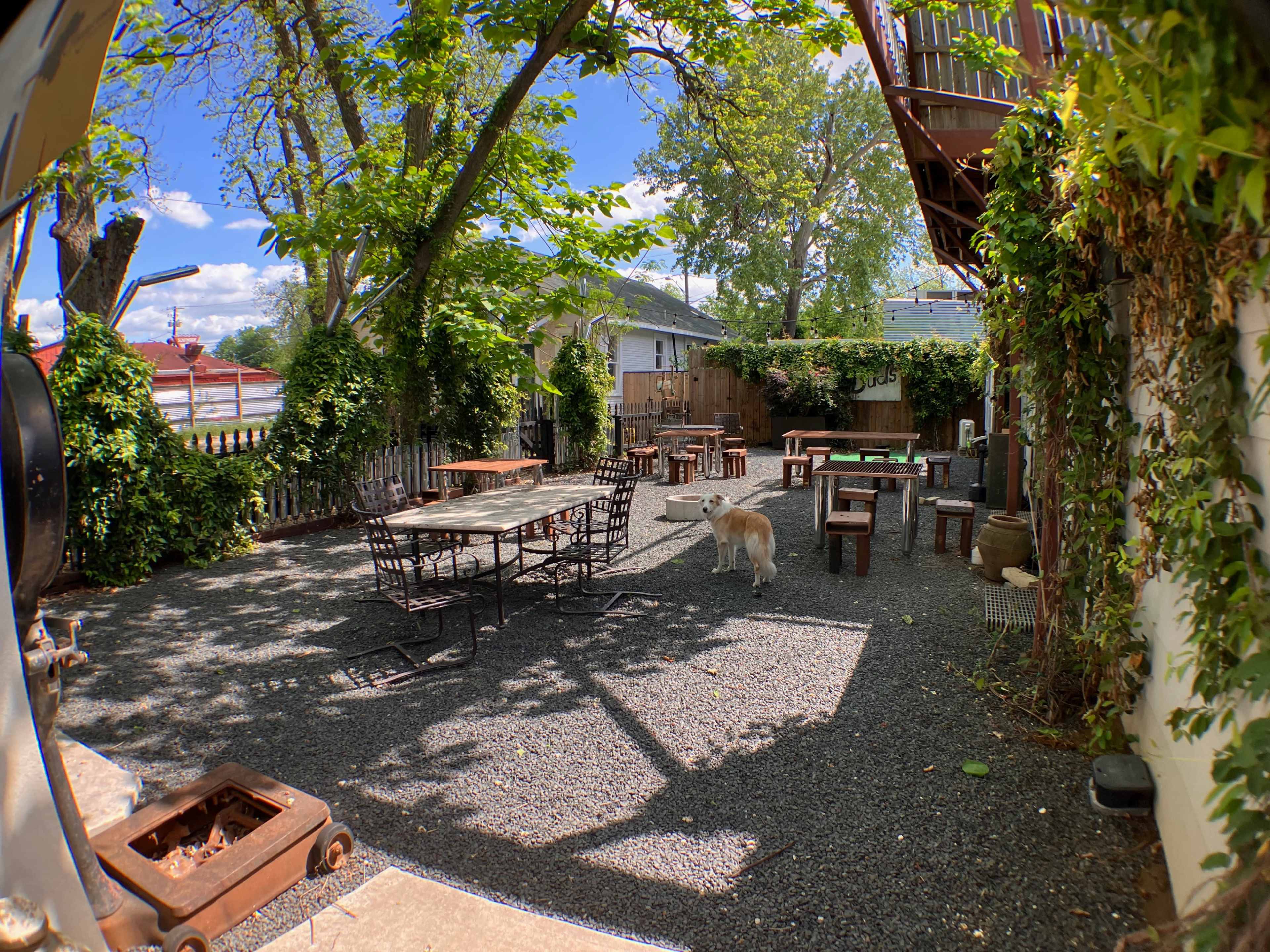 The image shows an outdoor seating area with metal tables and chairs, surrounded by trees and gravel, with a dog walking through the space.