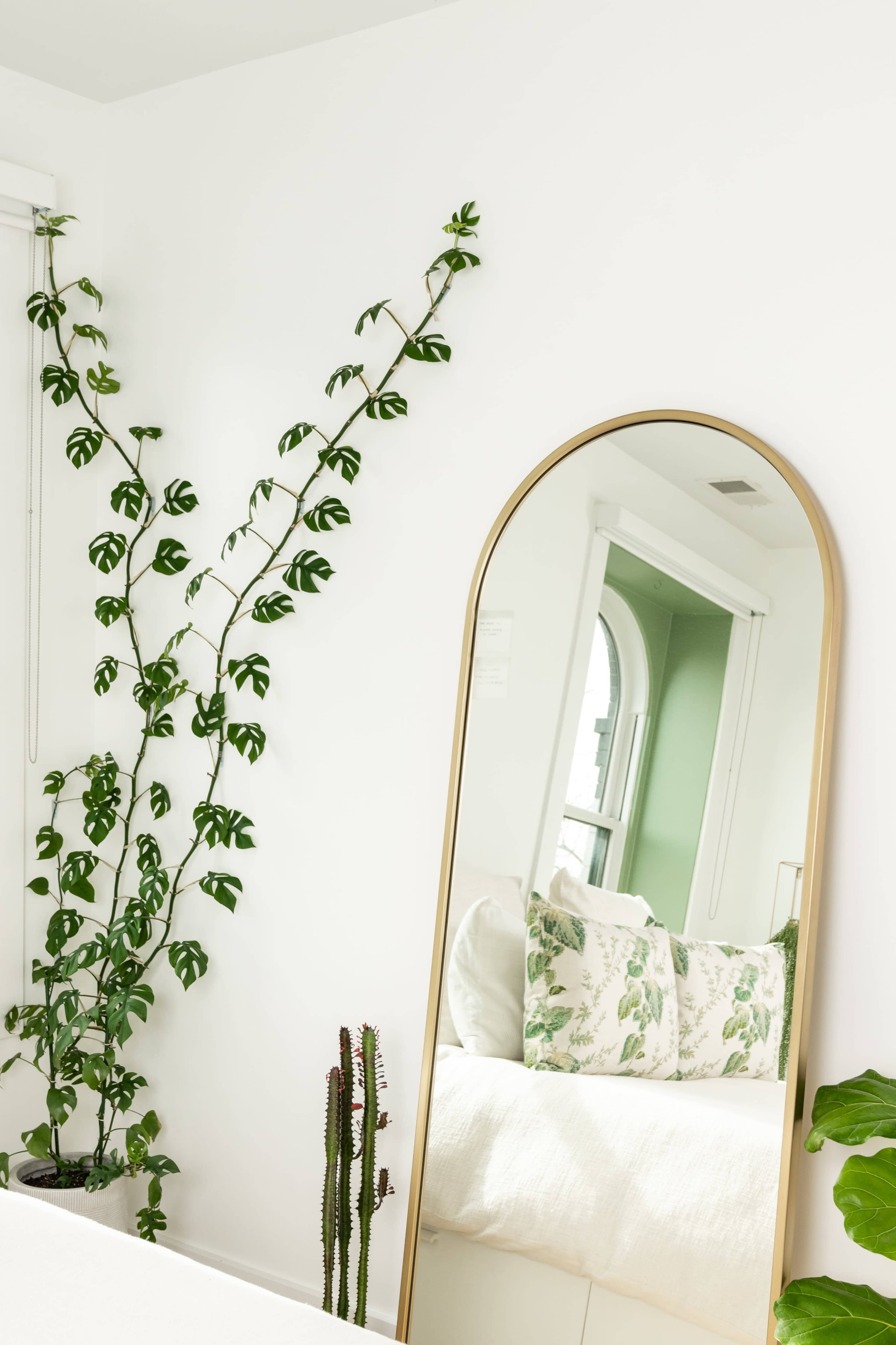 A large, arched mirror reflects a green wall and a bed adorned with leaf-patterned pillows, while a trailing plant climbs alongside it.