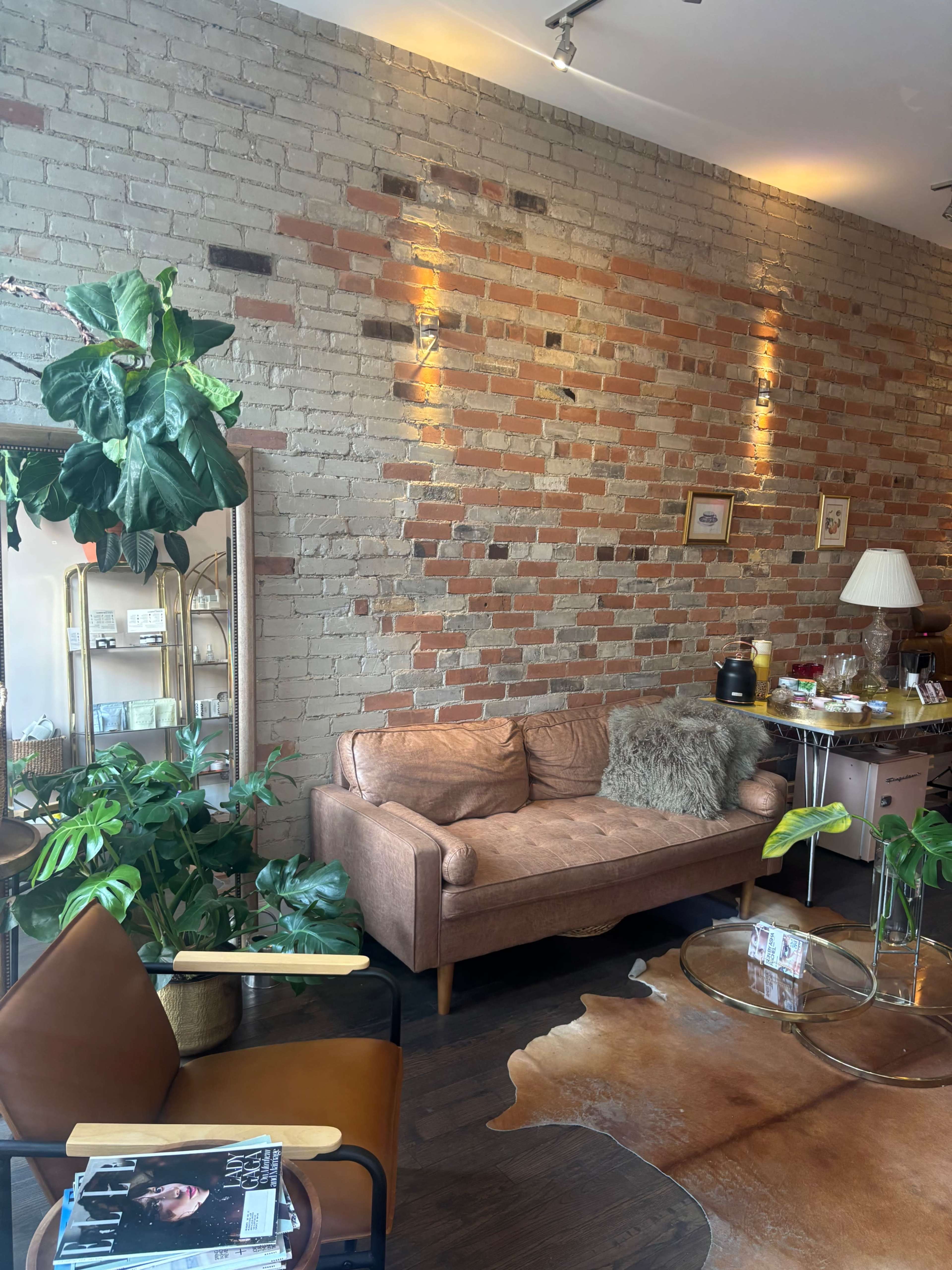 Downtown Wellness Studio with Tea Lounge Image in Brockton Village, Toronto, ON