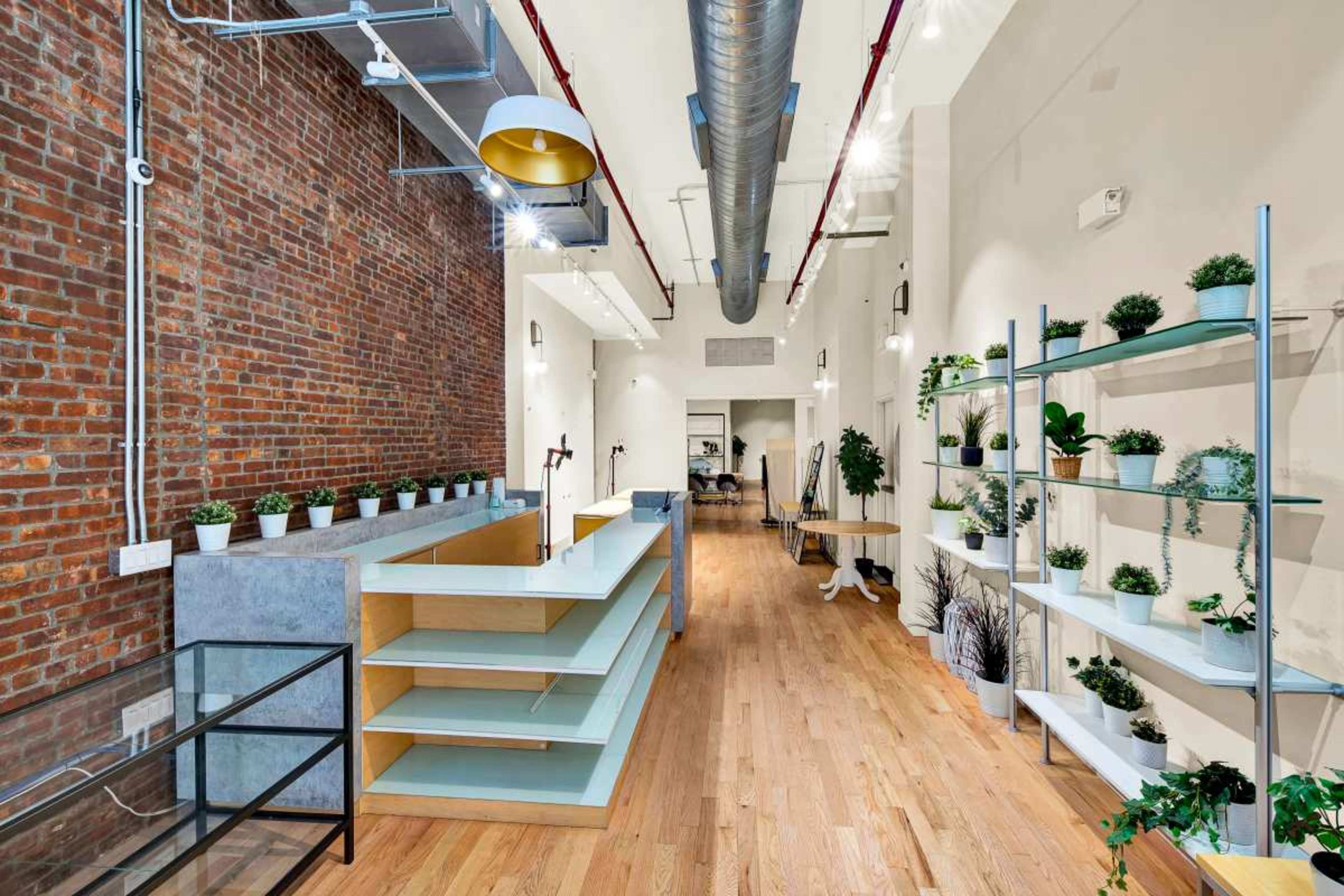 The image shows a spacious interior with exposed brick walls, wooden flooring, and shelves lined with potted plants.