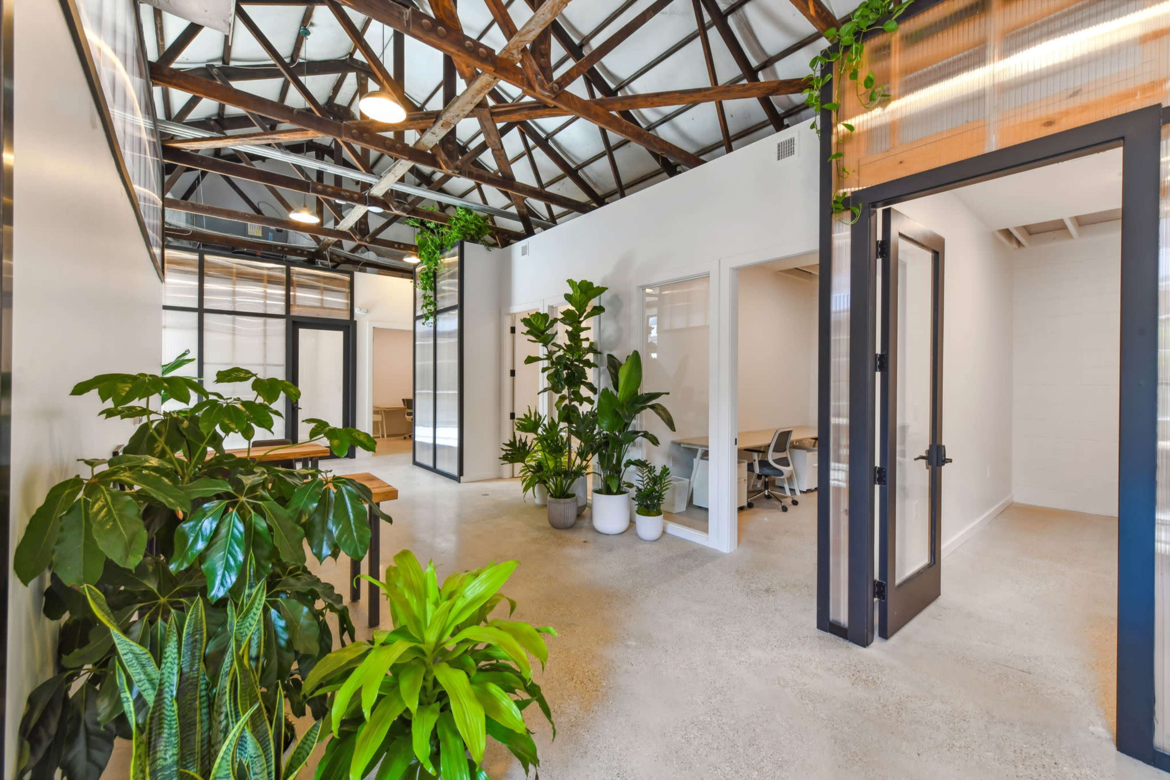 The Greenhouse Workspace Image in City Park, New Orleans, LA