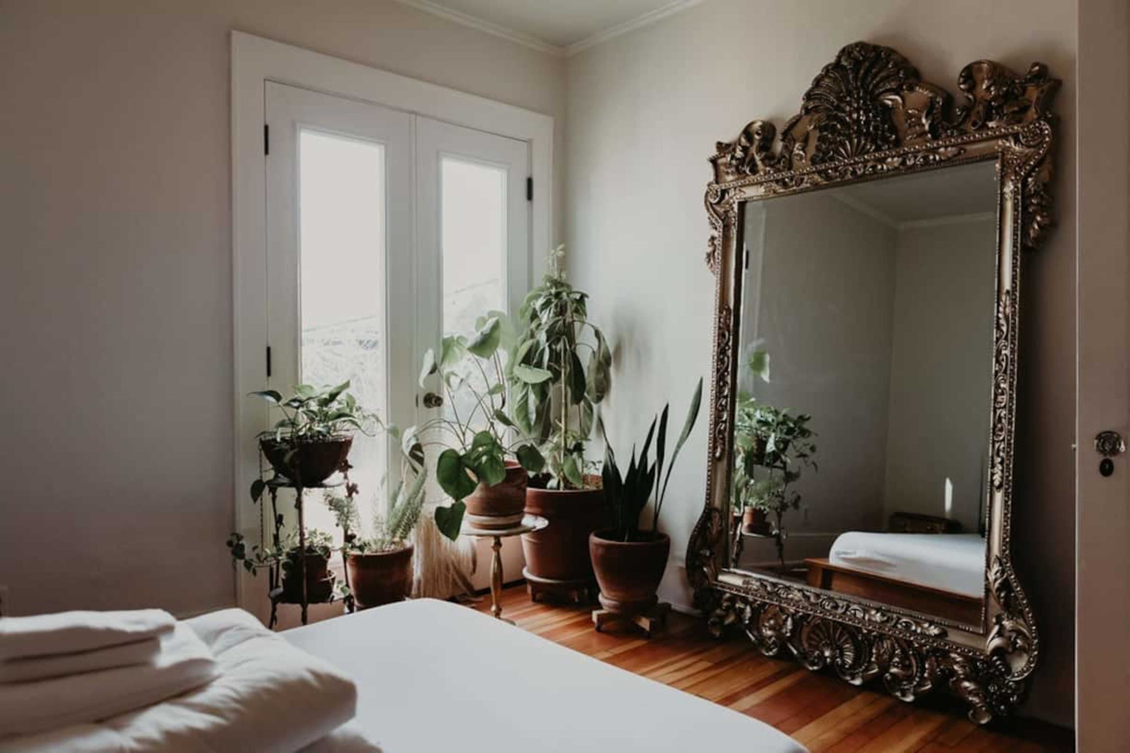 A spacious bedroom features a large ornate mirror next to several potted plants and double glass doors.