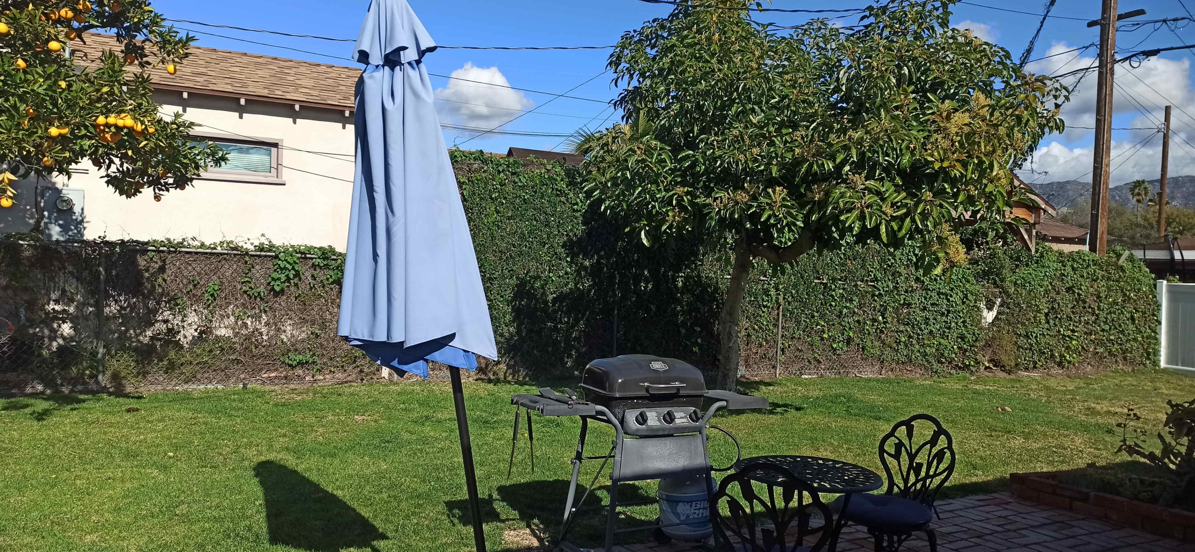 The image shows a backyard with a blue umbrella, a grill, and a small dining set under a tree, surrounded by a hedge.