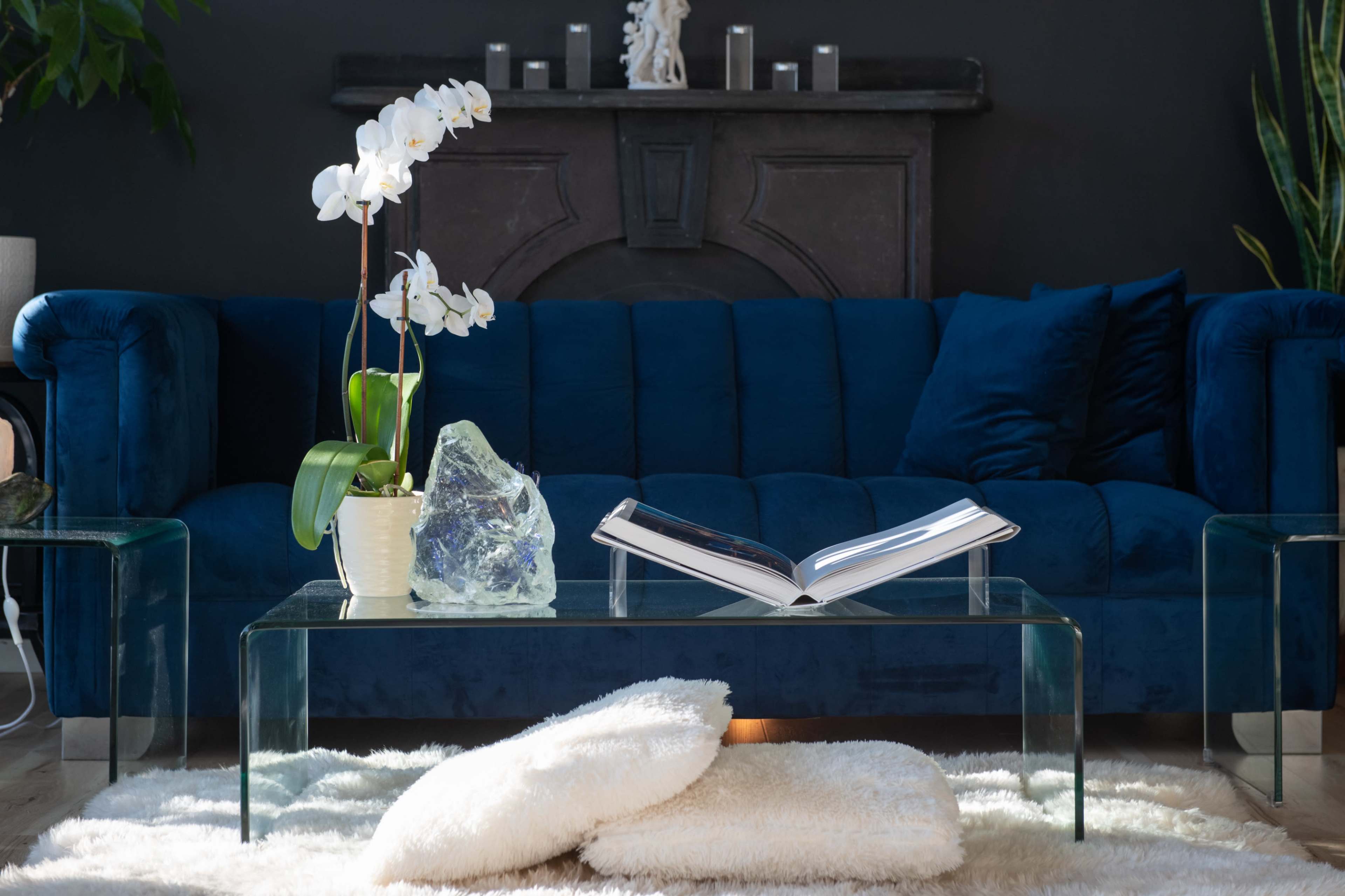 A blue velvet sofa is positioned in a living room, accompanied by a glass coffee table topped with an open book and a decorative stone, along with a potted orchid and a soft rug on the floor.