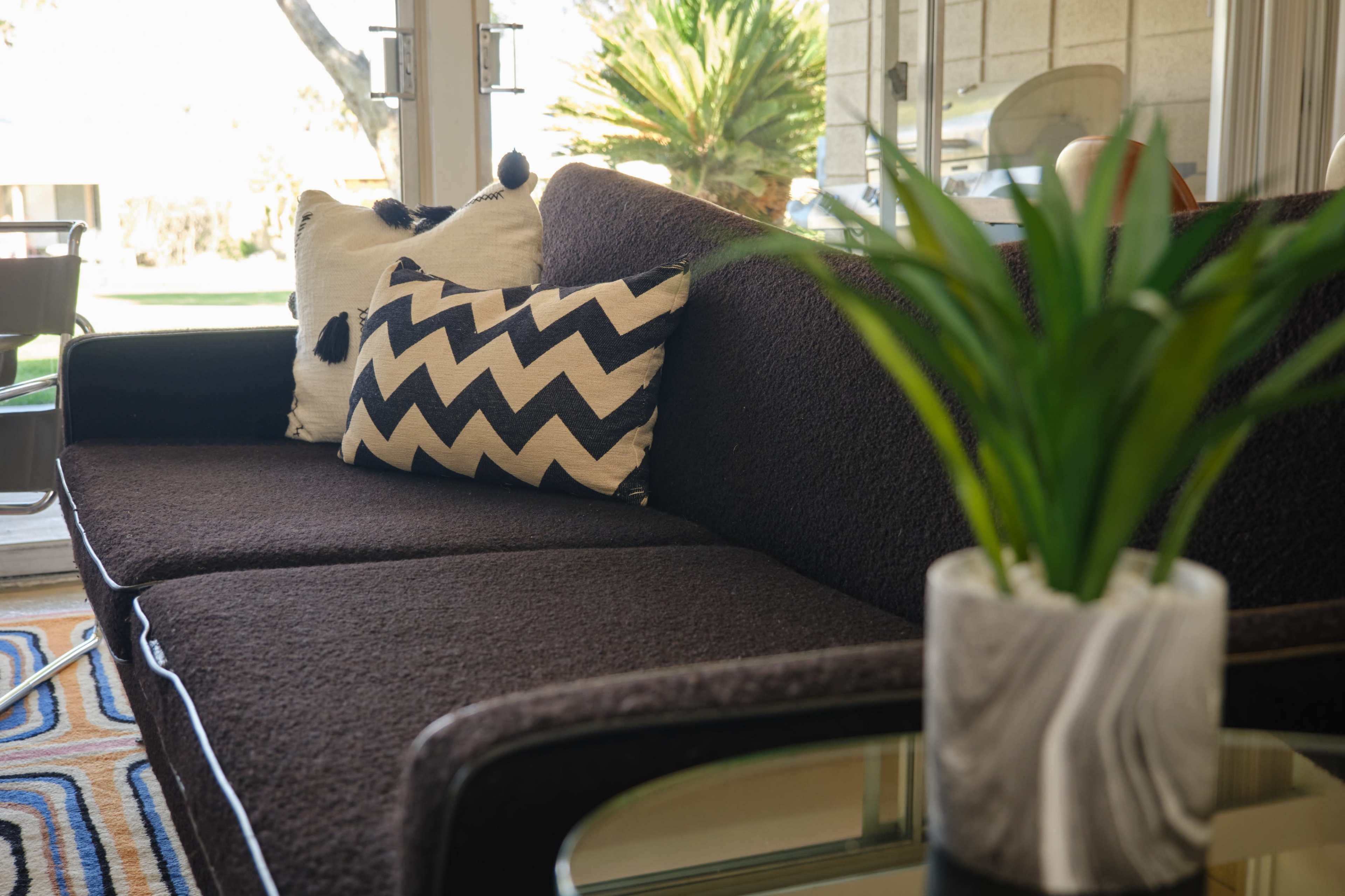 A dark sofa with a patterned cushion sits next to a potted plant and glass table in a bright living space.