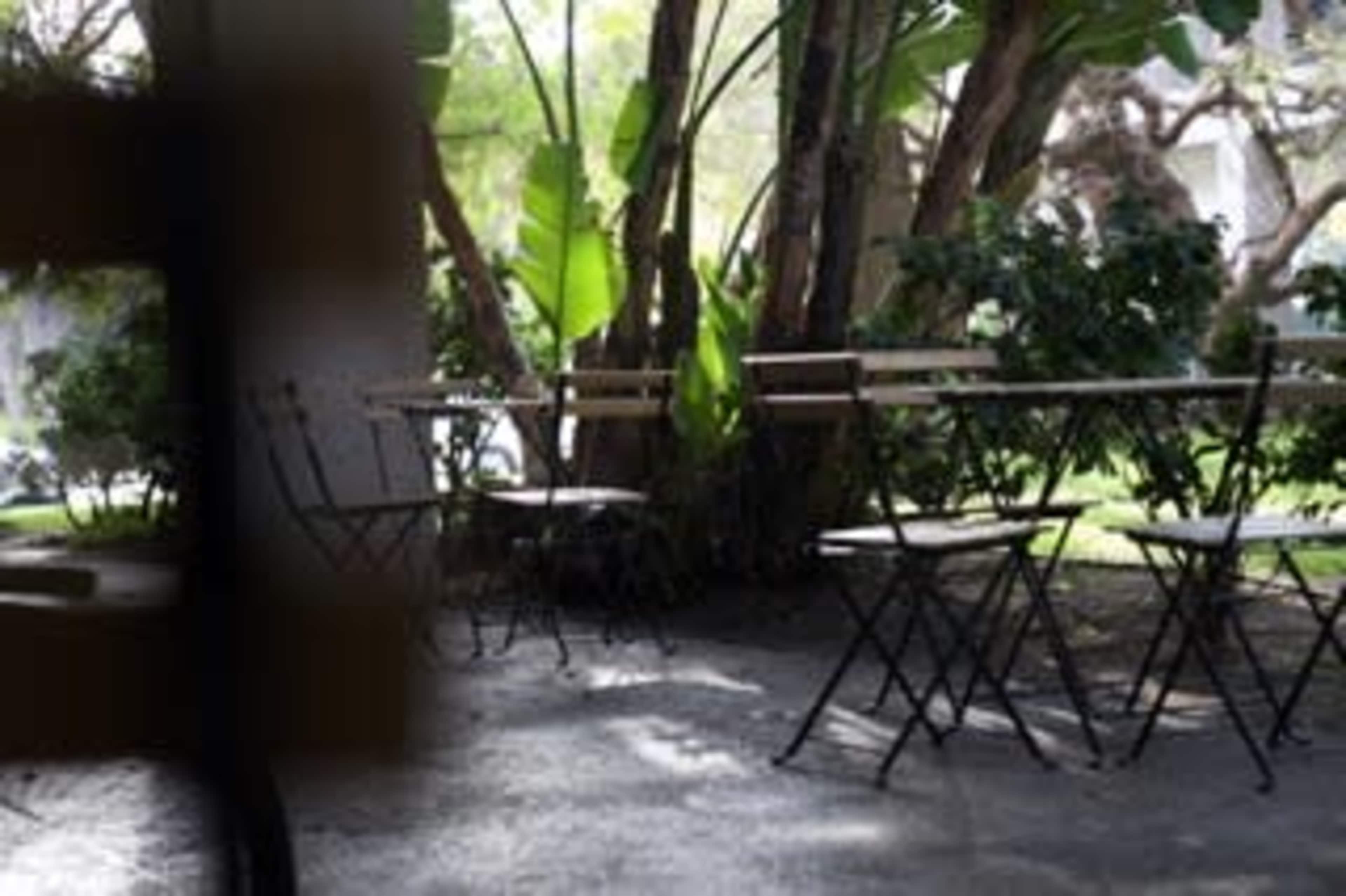 A set of empty bistro tables and chairs is positioned near a cluster of trees in a shaded outdoor setting.