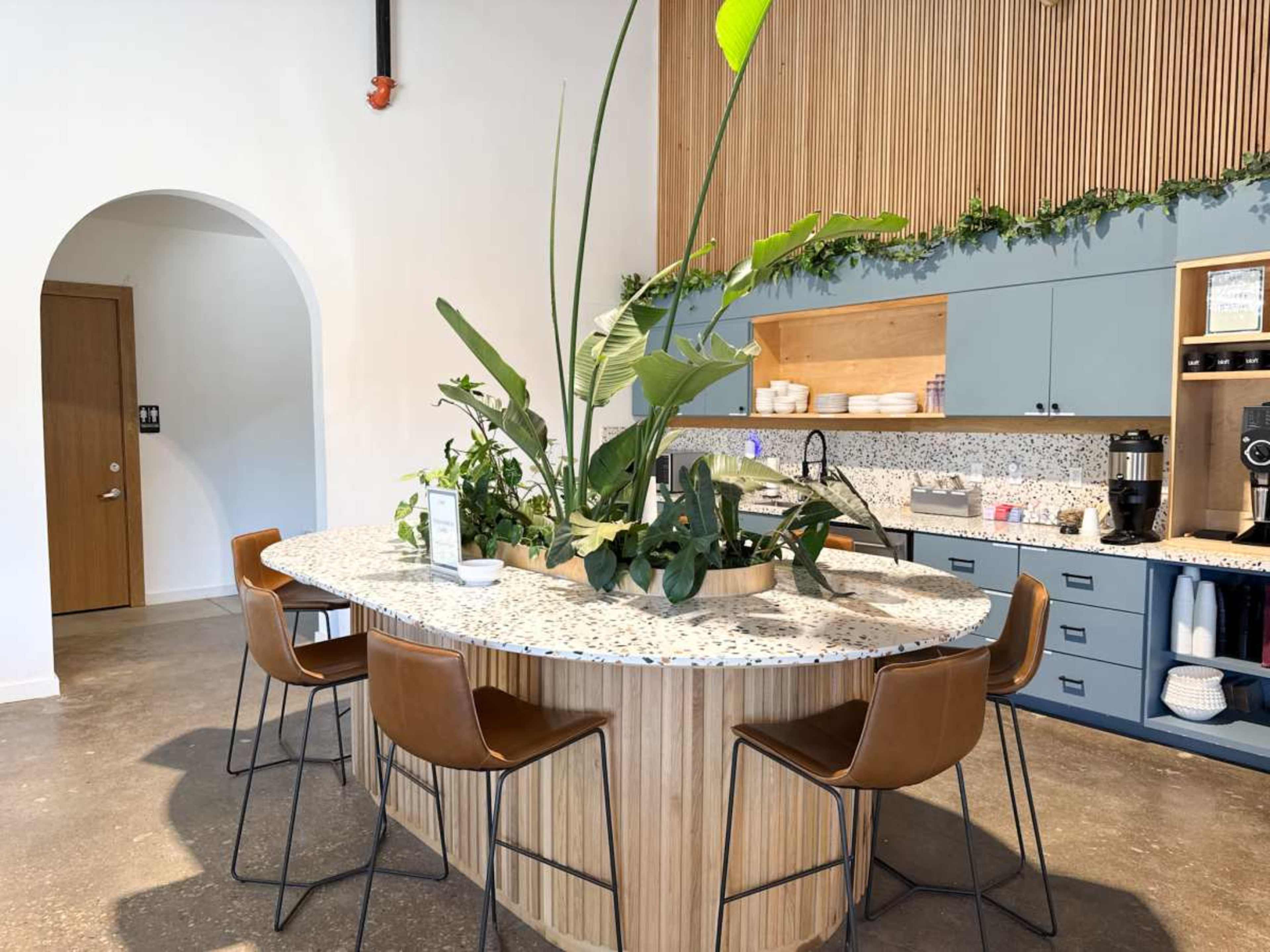 The image shows a modern kitchen with a curved bar countertop featuring greenery in the center, surrounded by brown bar stools and blue cabinetry.