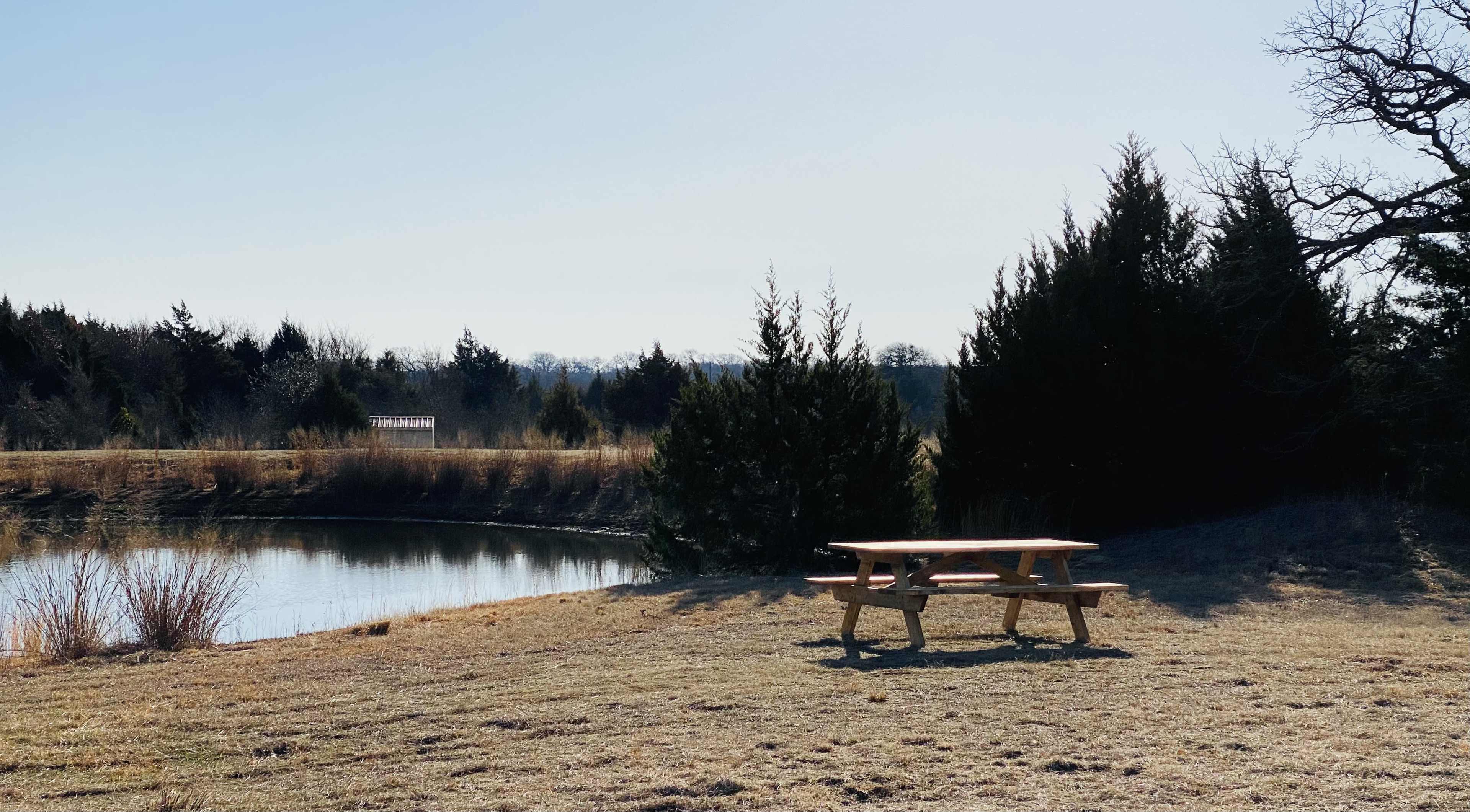 A picnic table sits near a pond surrounded by trees under a clear sky.