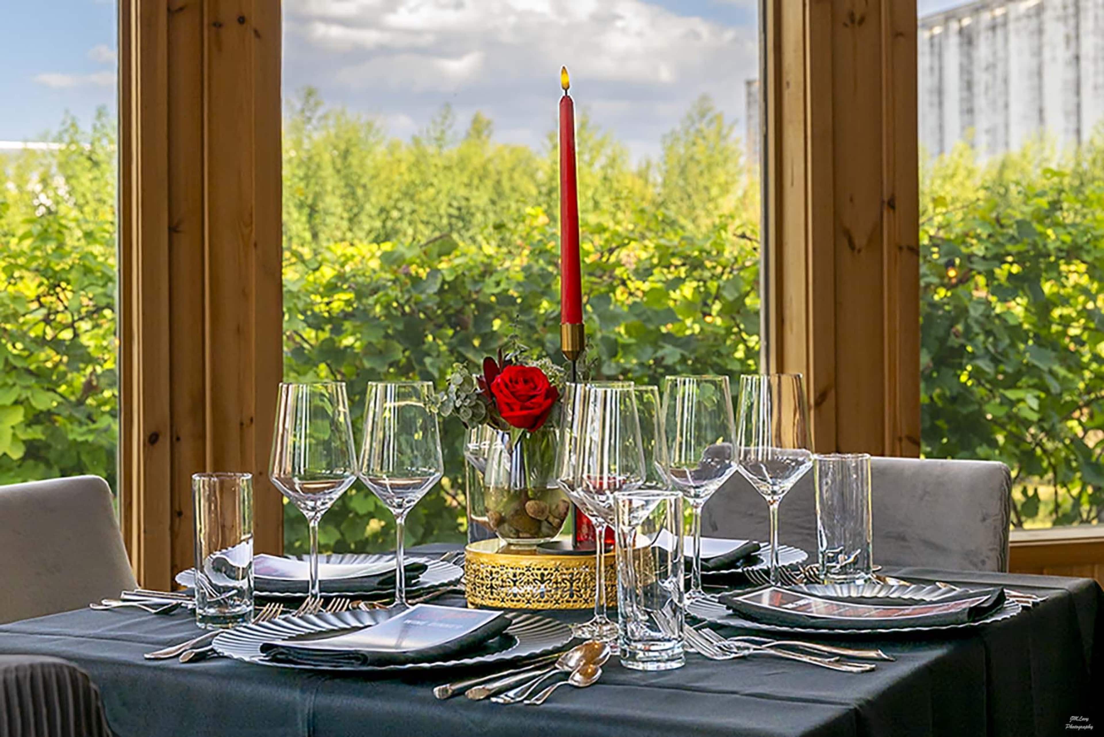 Modern Cedar Cabin in Urban Vineyard Image in Spring Branch West, Houston, TX