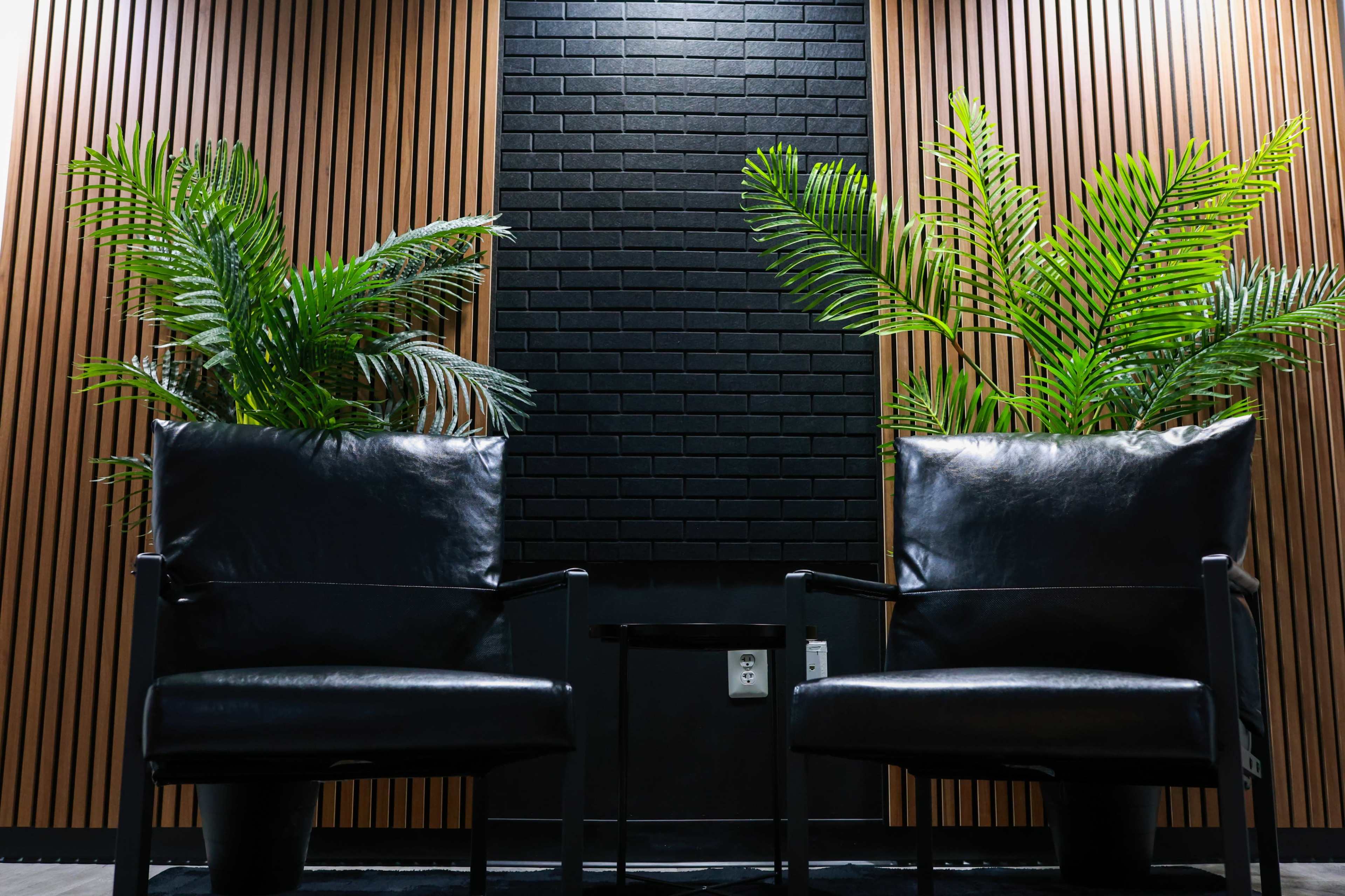 Two black leather chairs are positioned facing each other against a backdrop of textured black wall tiles and lush green plants.