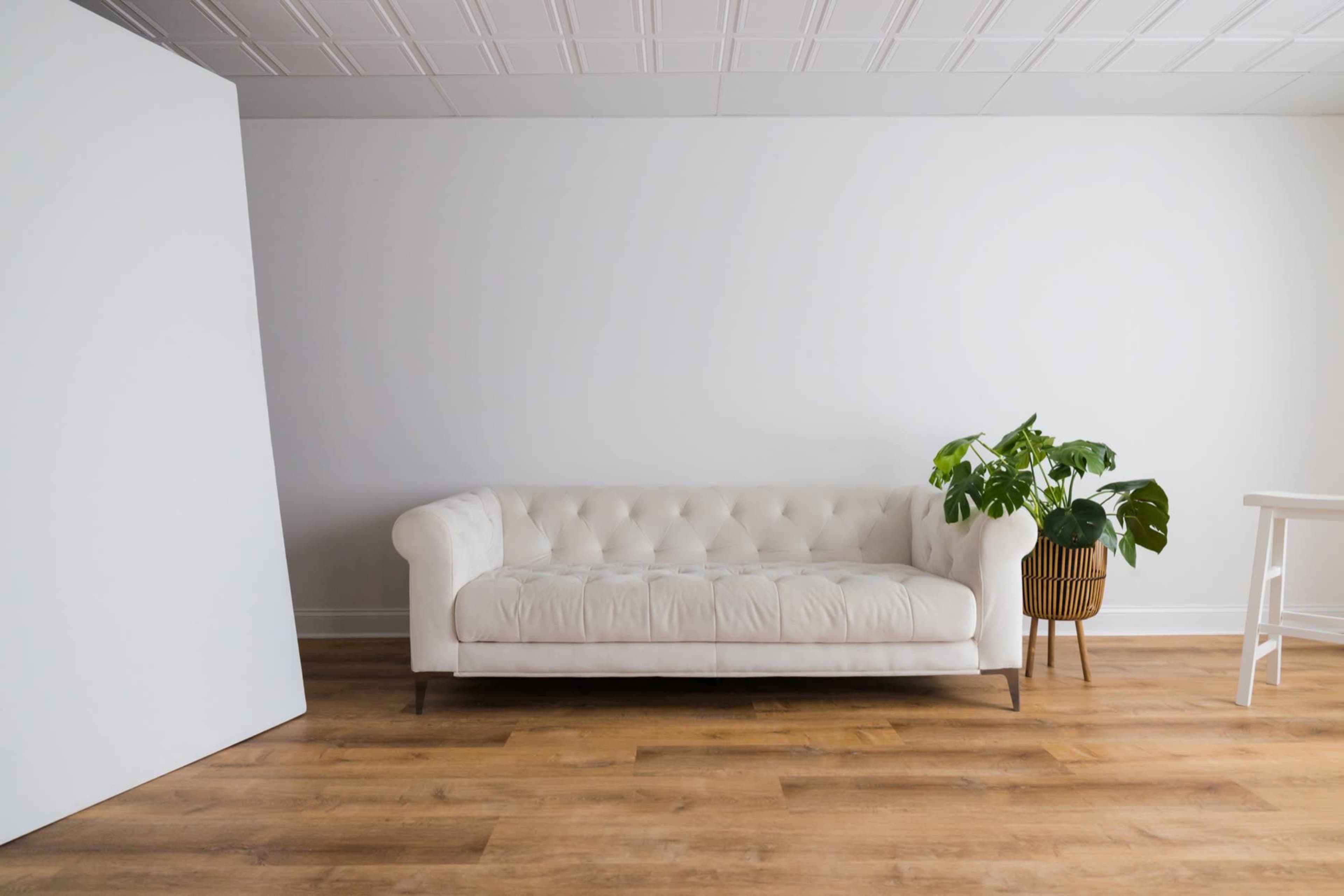 Luxurious & Spacious East Ave Photography Studio Image in East Avenue, Rochester, NY