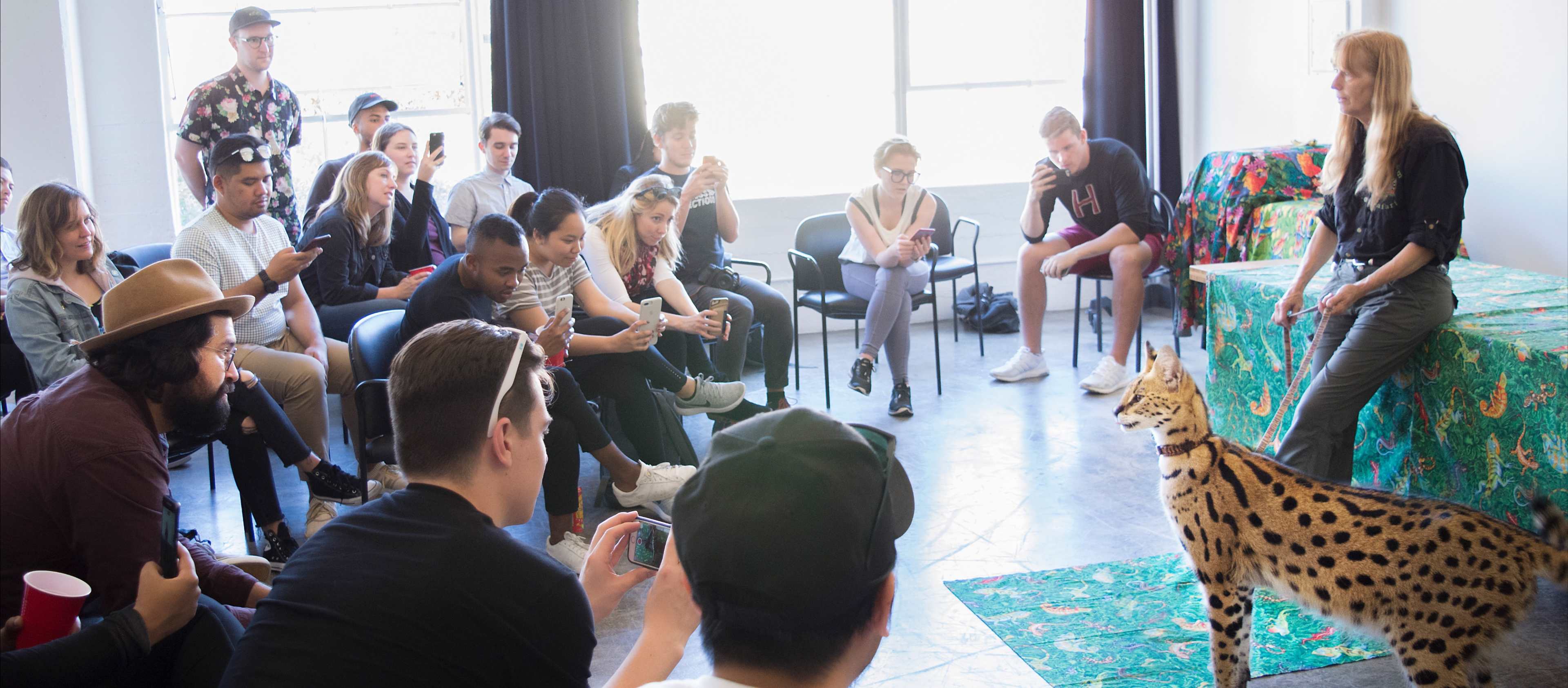 A group of people sits in chairs watching a woman standing beside a serval cat on a patterned cloth in a well-lit room.