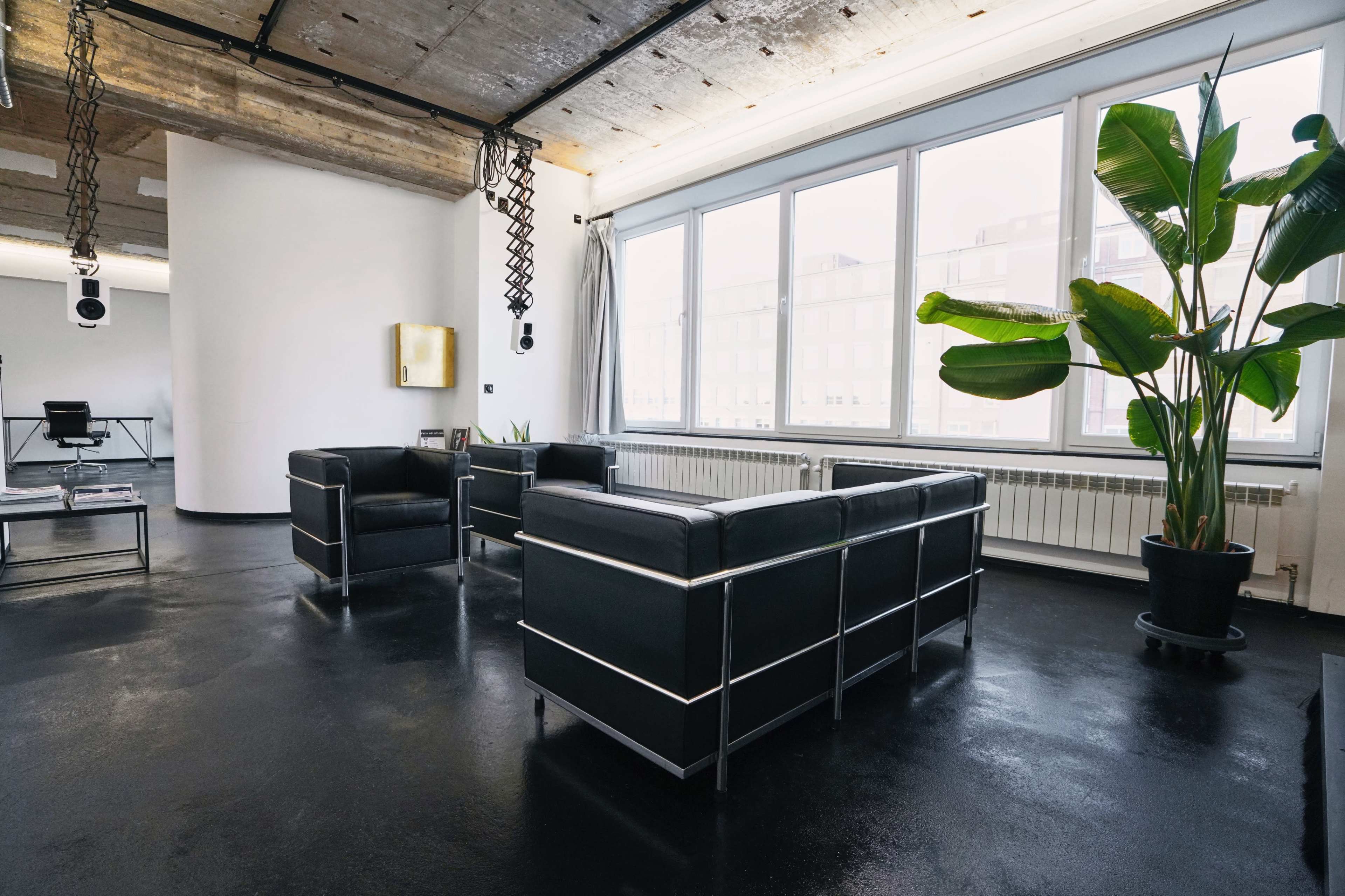 The image shows a modern, minimally decorated room with two black leather couches facing each other, large windows letting in natural light, and a tall plant in the corner.