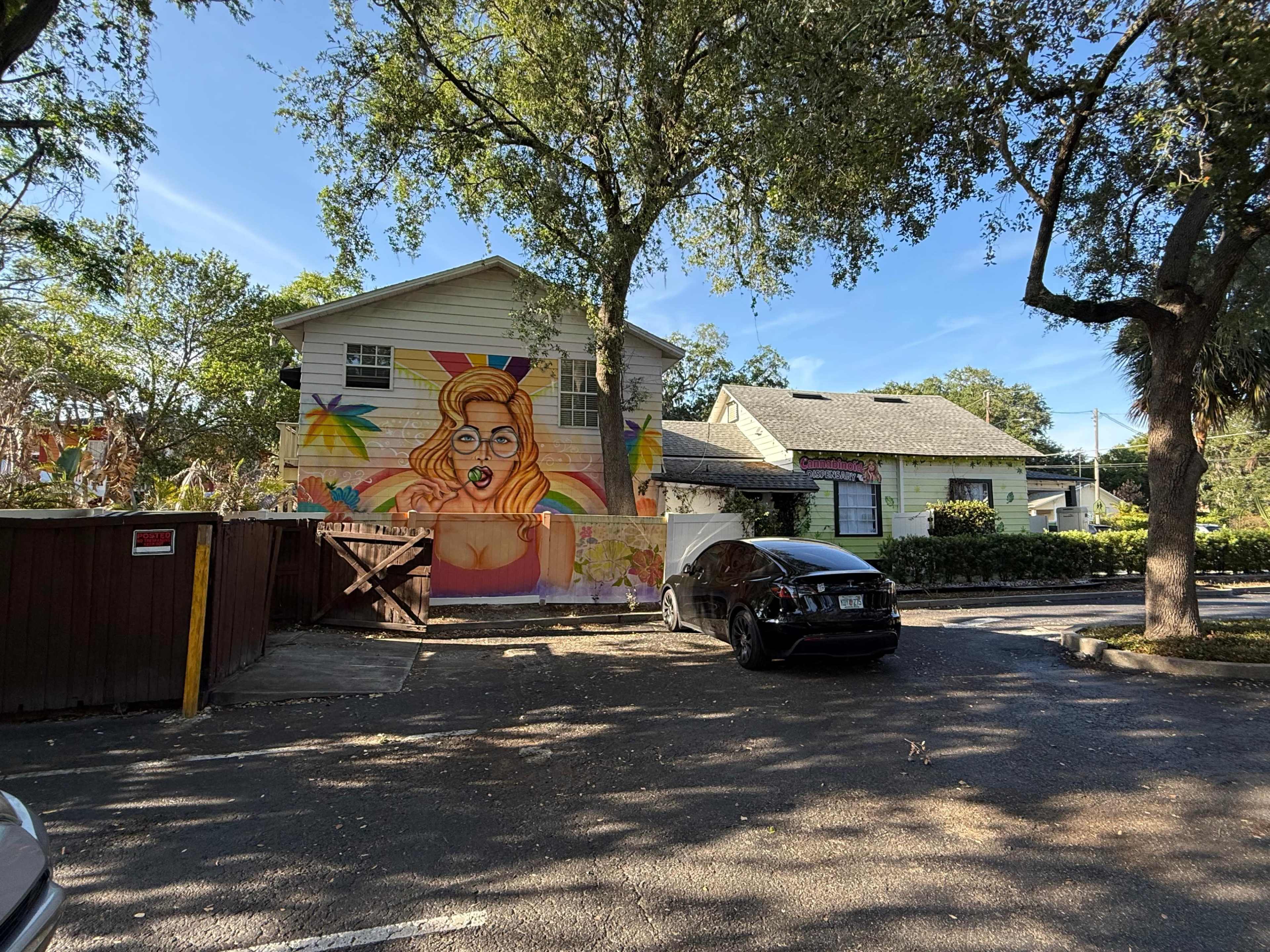 A large mural of a woman with glasses is painted on the side of a building in a parking area, surrounded by trees and other houses.