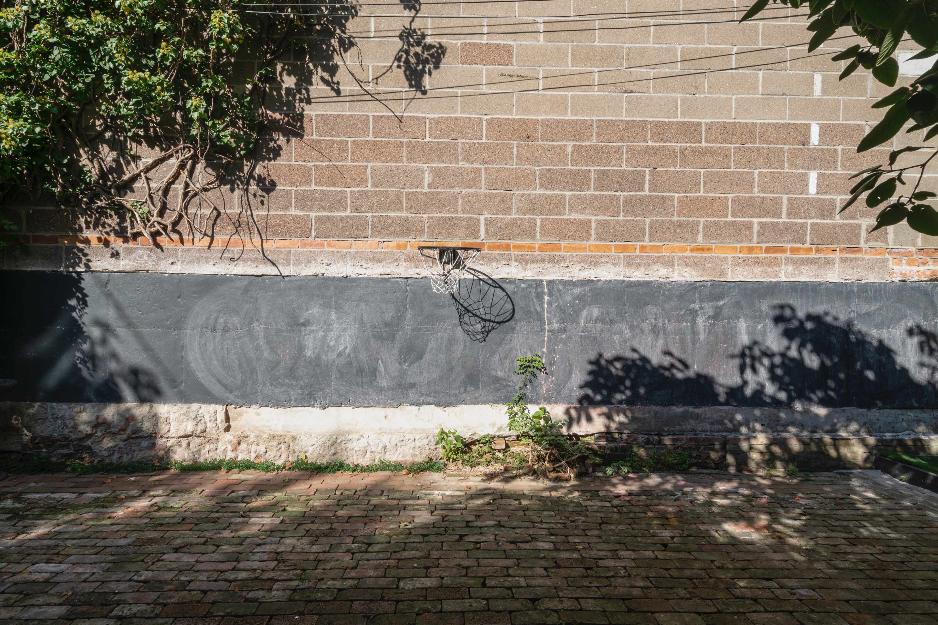 A basketball hoop hangs on a wall beside a patch of overgrown vegetation and a cobblestone surface.