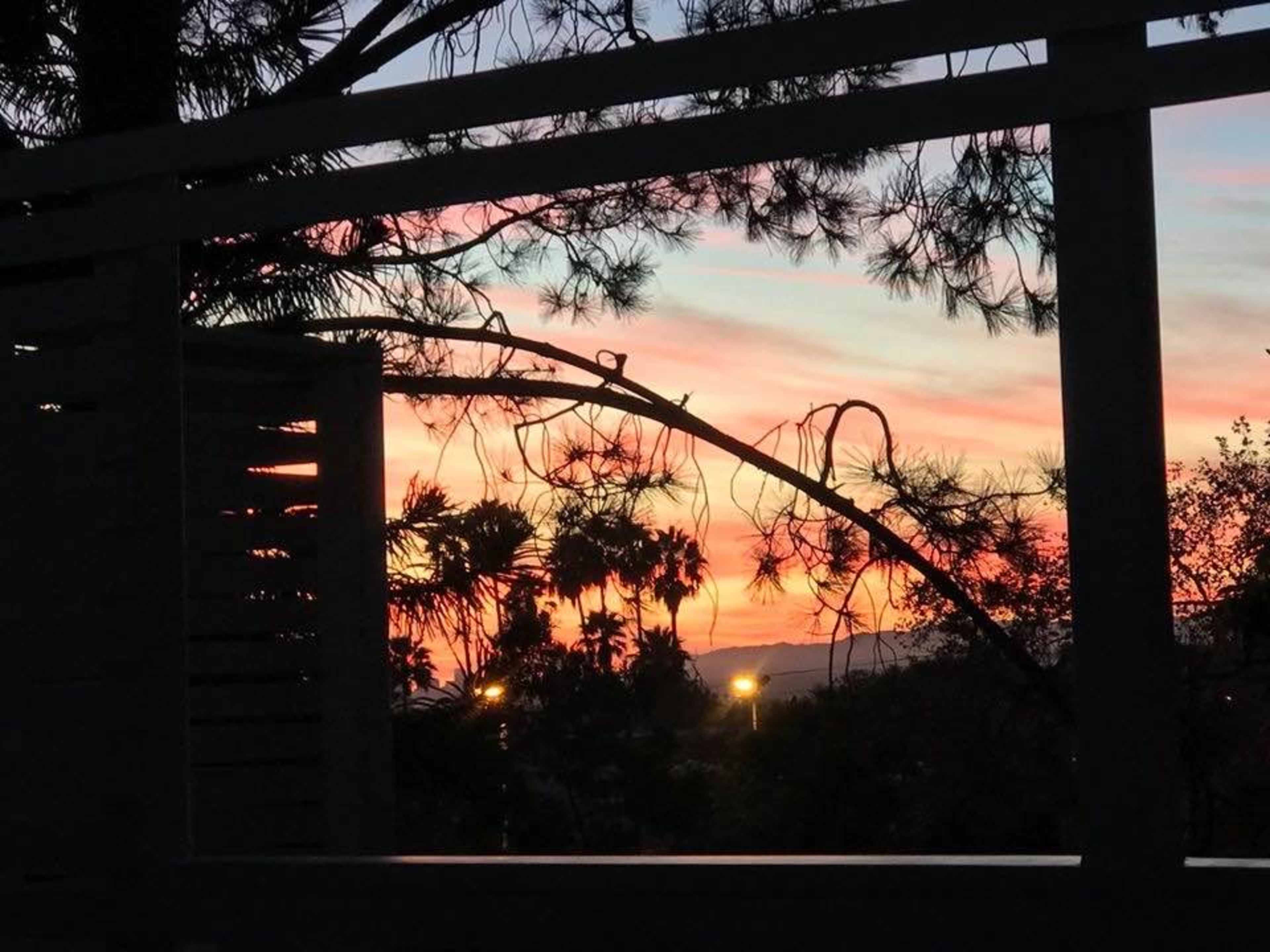 A sunset with silhouetted trees and palm fronds framed by a wooden structure.