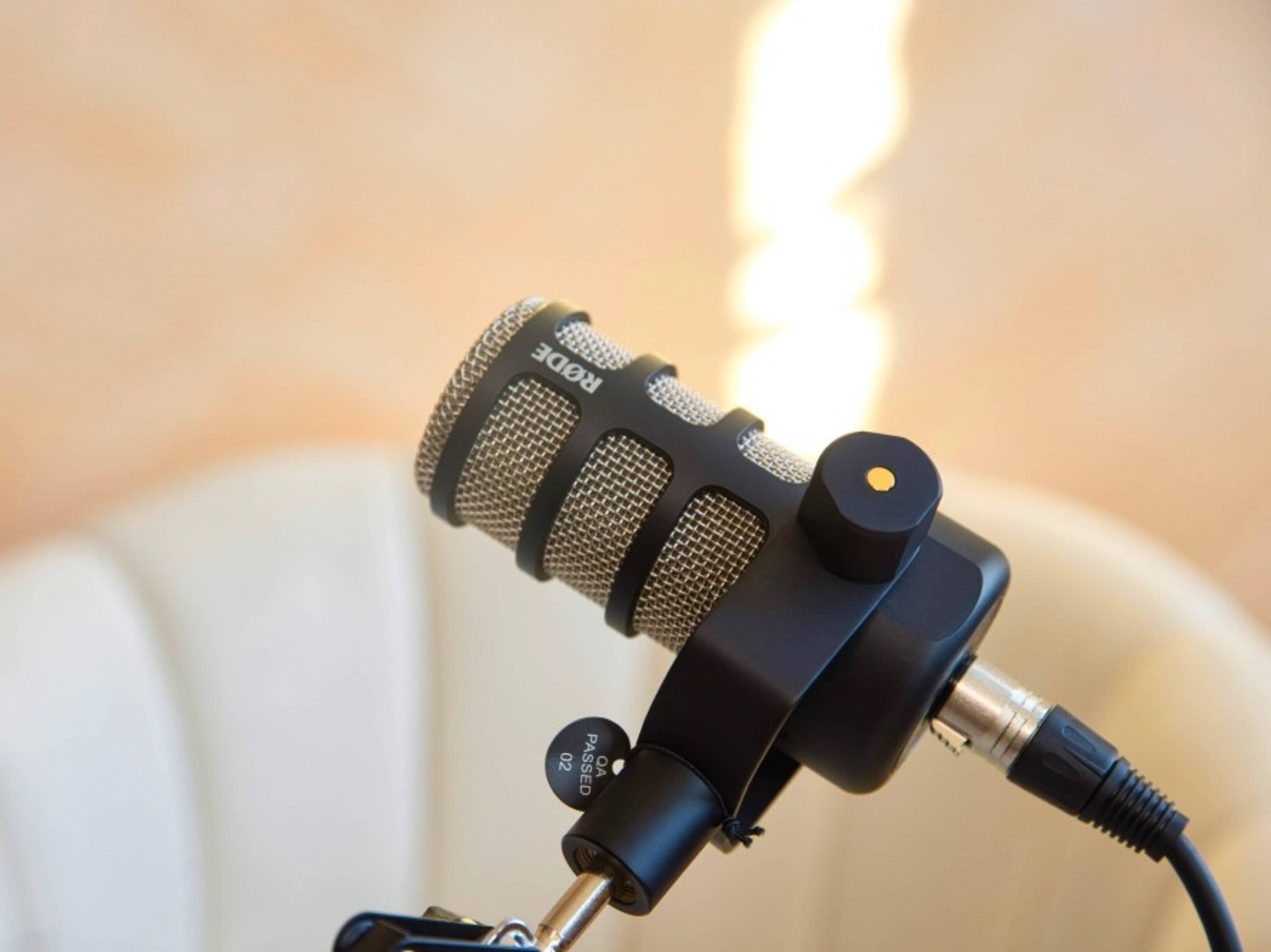 Microphone Rental 