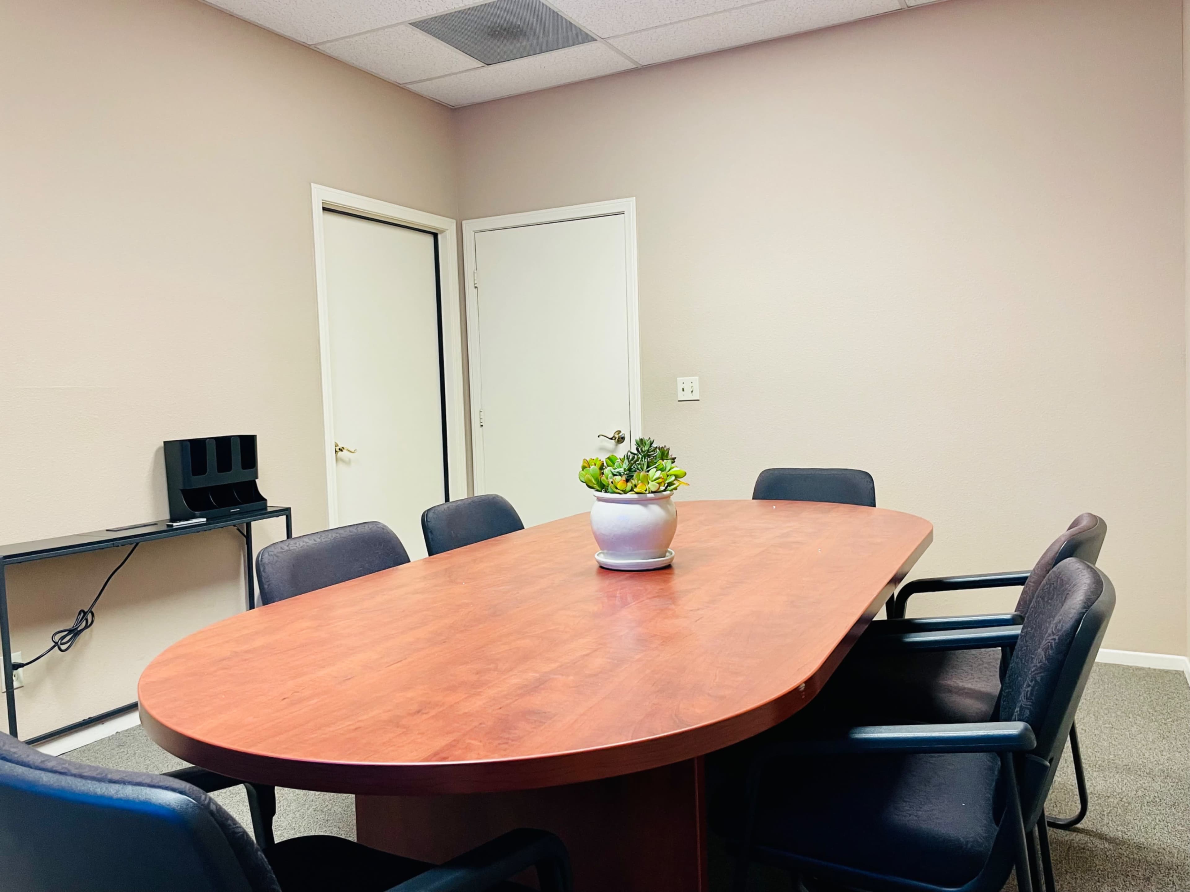 A conference room with an oval wooden table surrounded by black chairs and a small potted plant at the center.