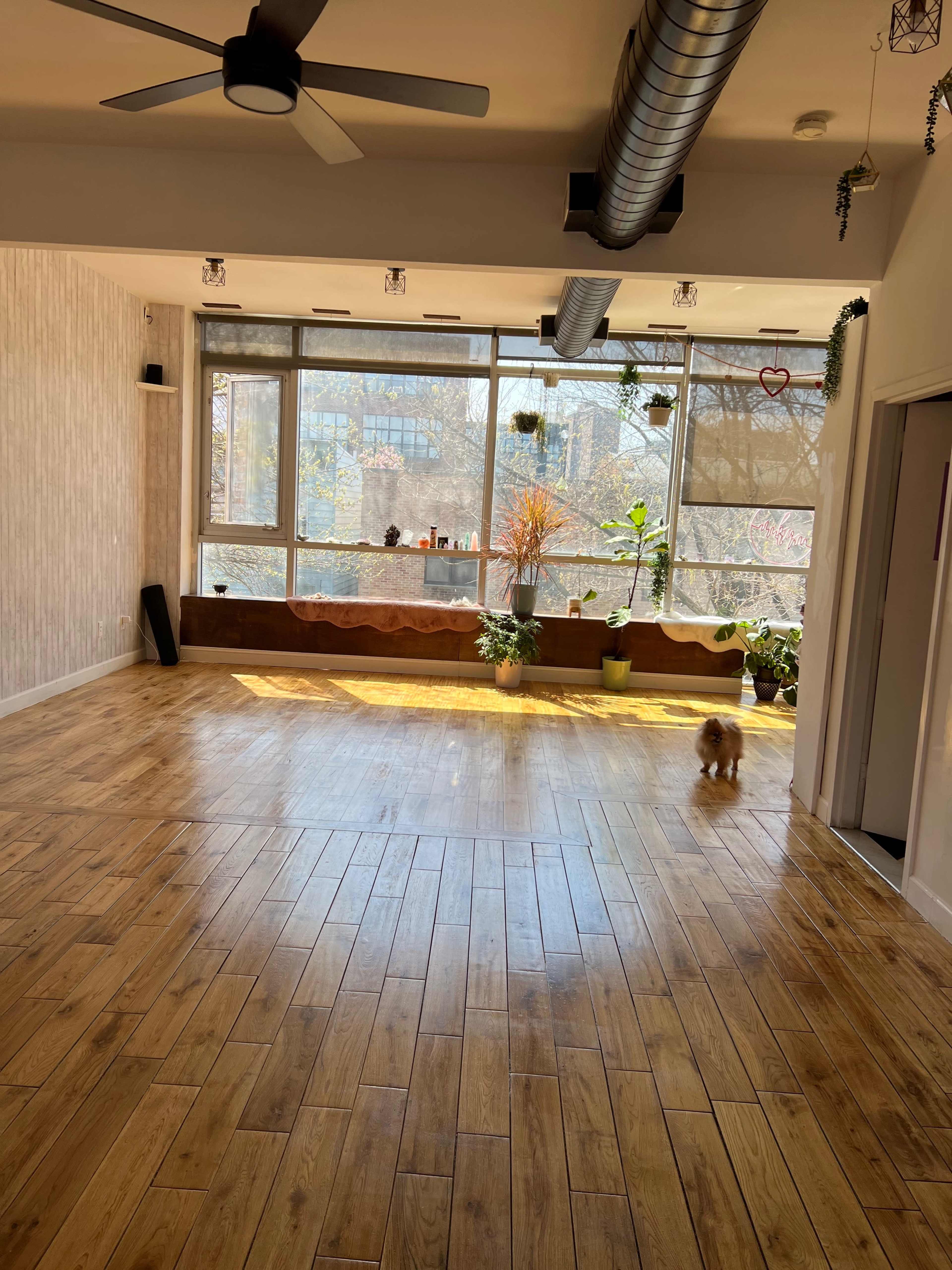The image shows a spacious, well-lit room with wooden flooring and large windows lined with plants.