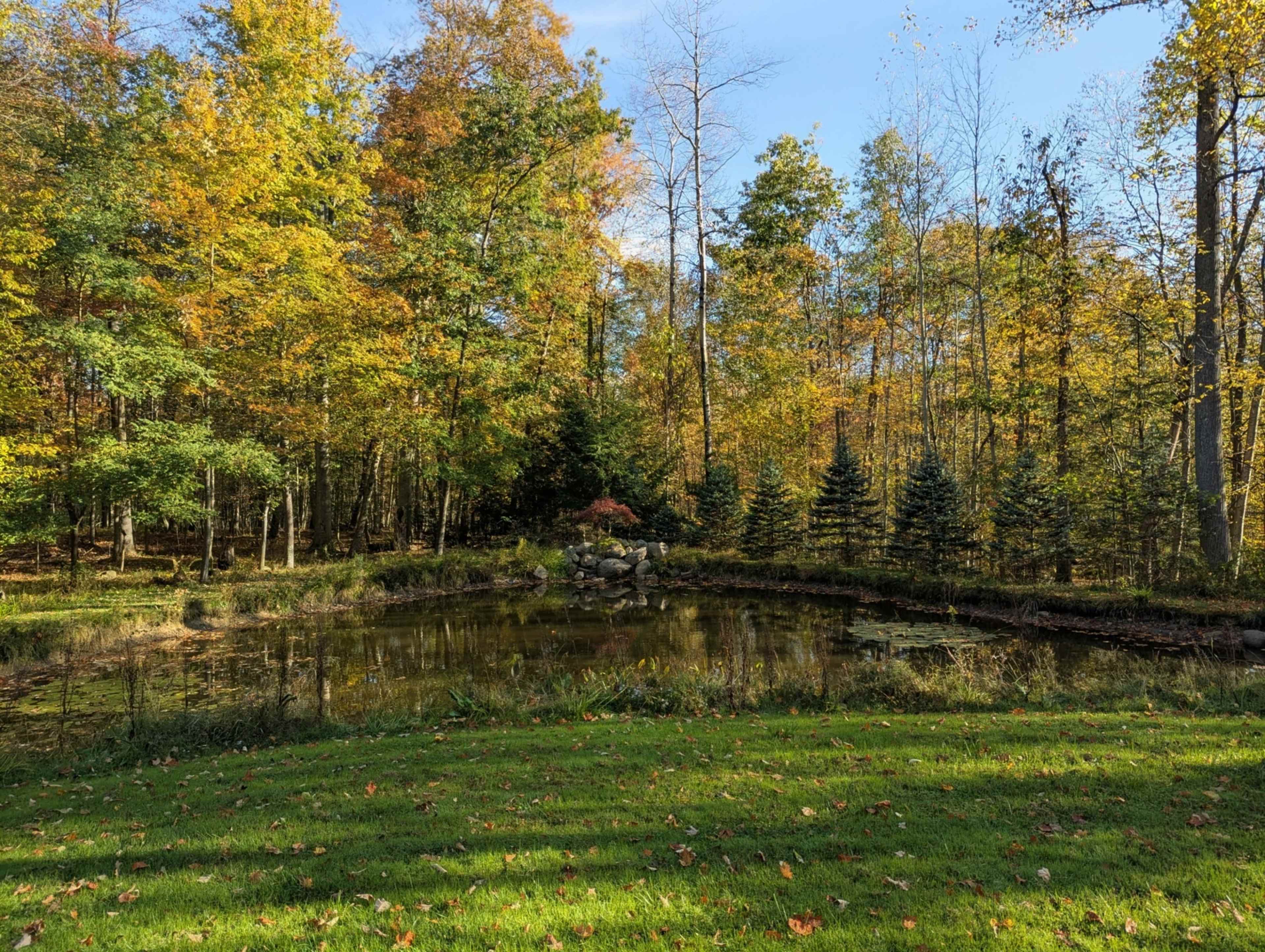 The image shows a serene pond surrounded by colorful autumn trees and grass.