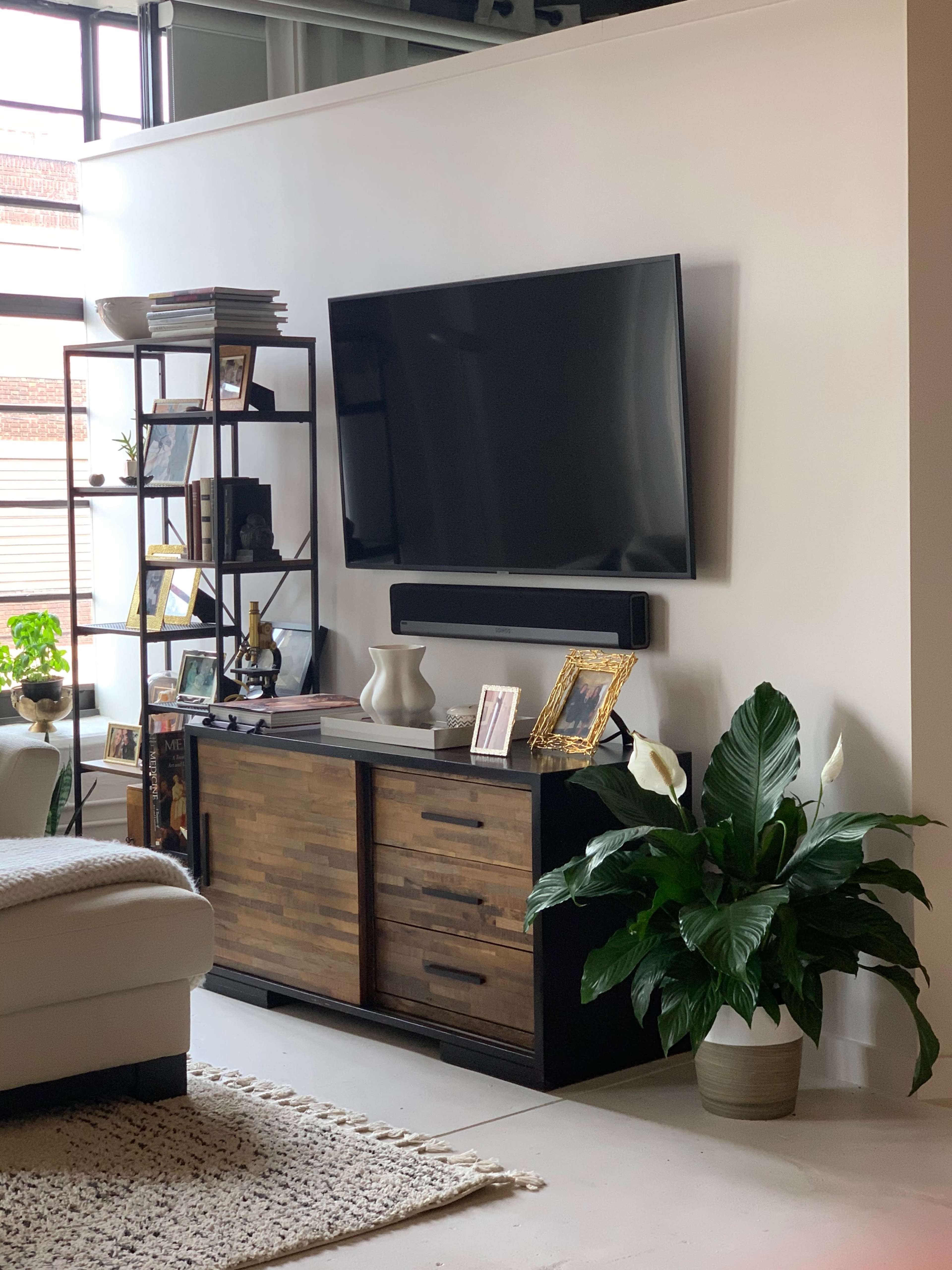 A modern living room with a mounted television, shelving unit, and a large potted plant beside a wooden cabinet.