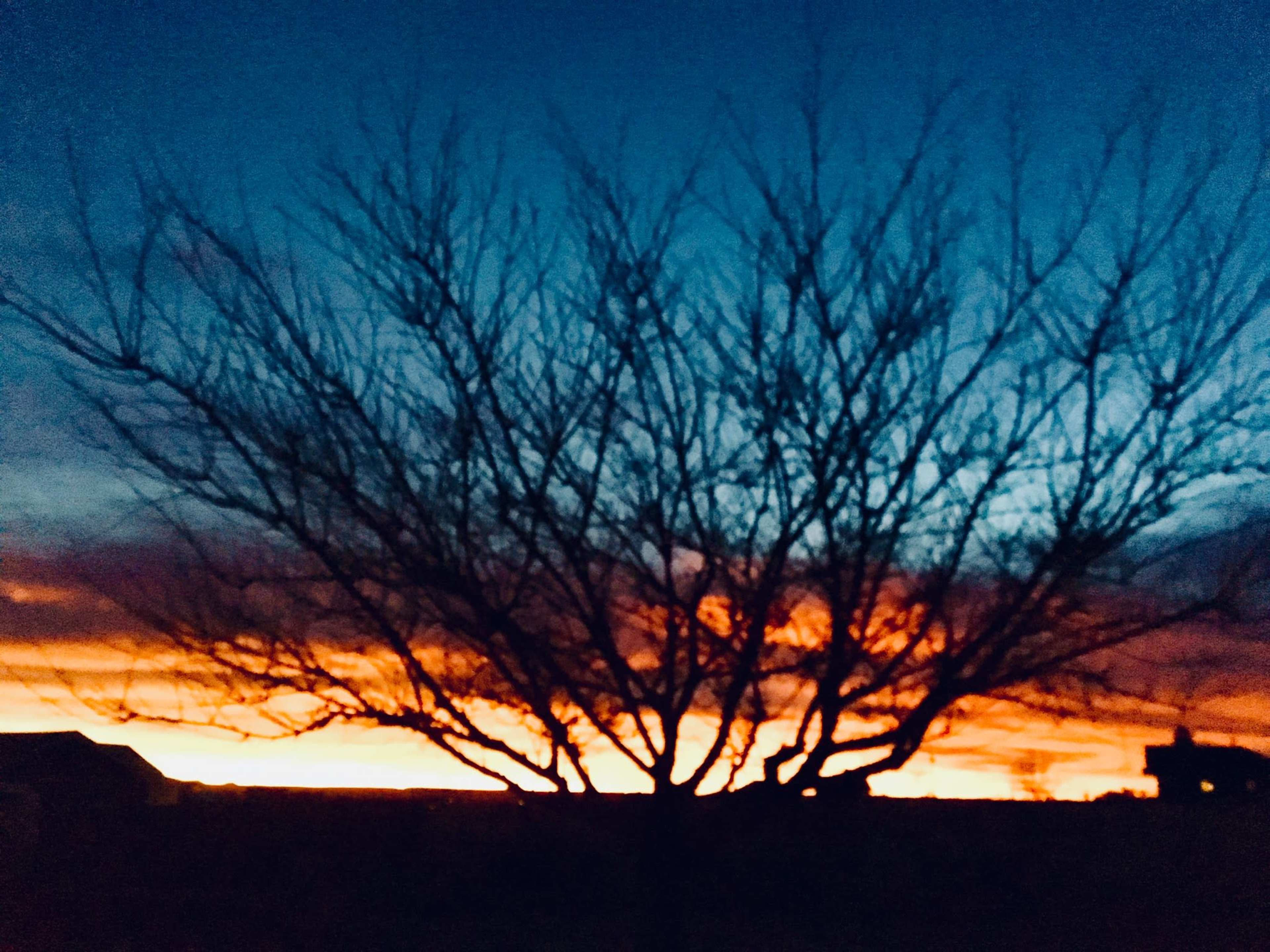 A bare tree stands silhouetted against a vibrant sunset with orange and blue hues in the sky.