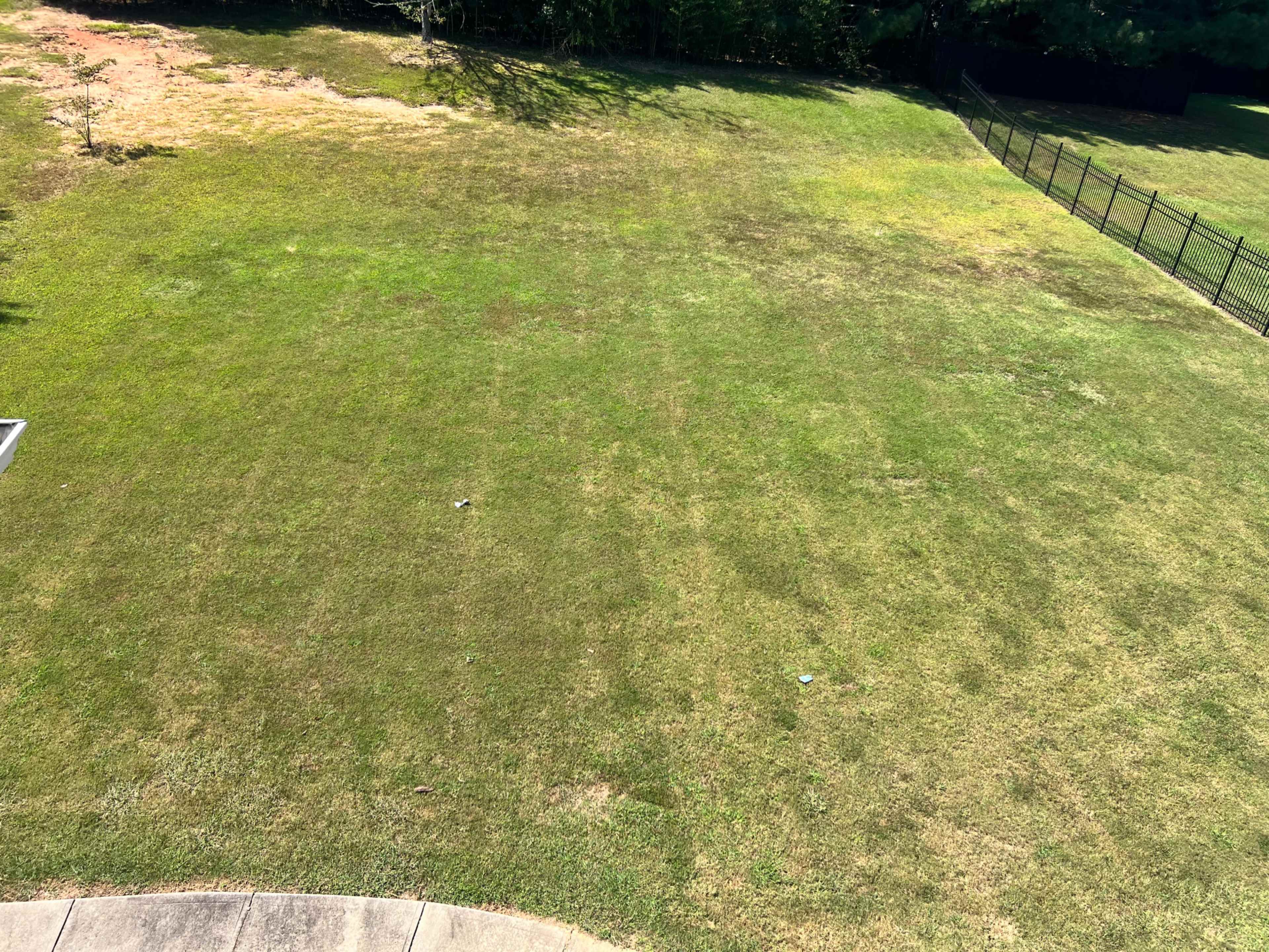 The image shows a grassy lawn divided into two sections: one with green grass and the other with patchy, brown patches.
