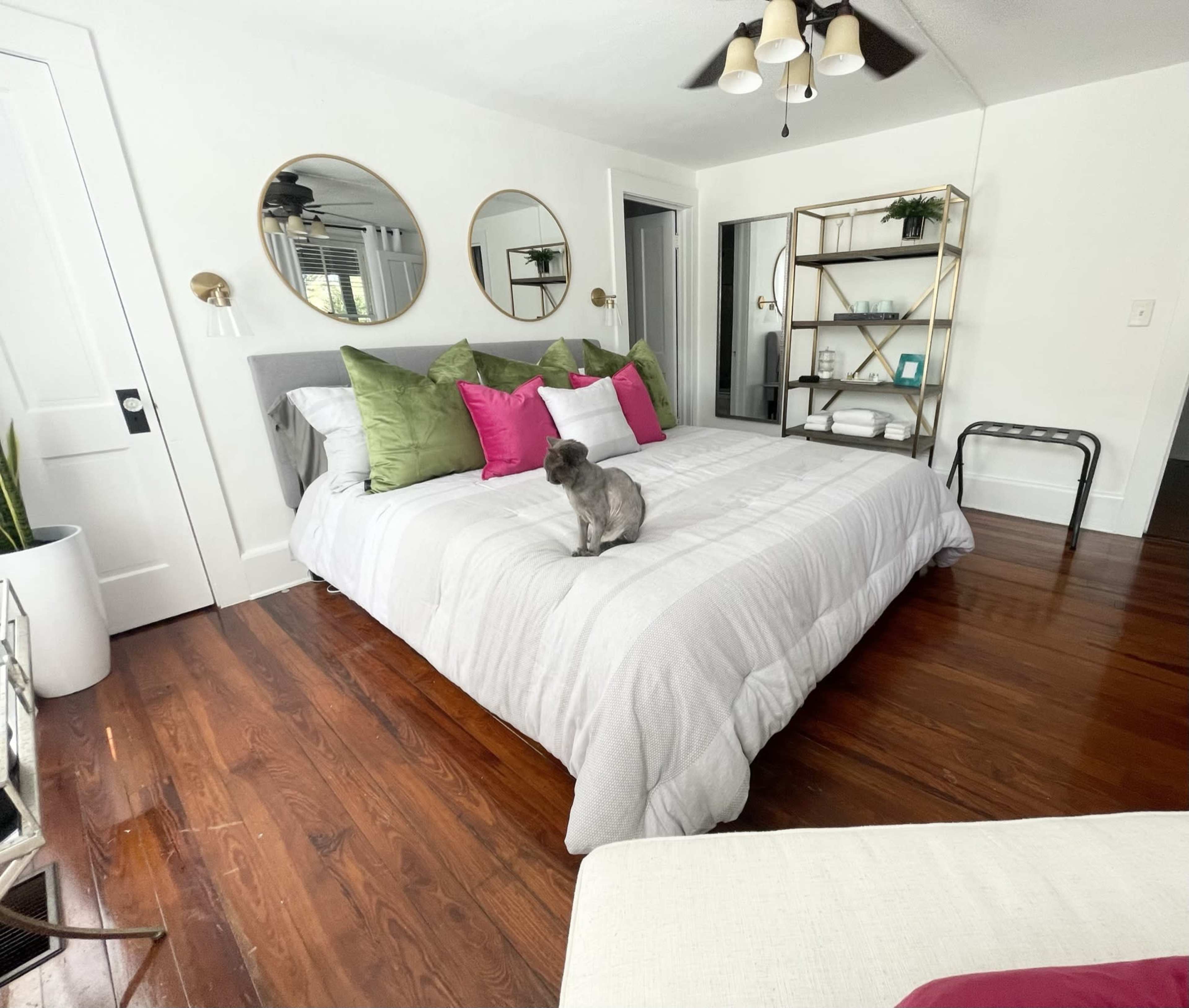 The image shows a bedroom featuring a bed with gray and colorful pillows, a small dog sitting on the bed, two round mirrors on the wall, and a bookshelf in the corner.